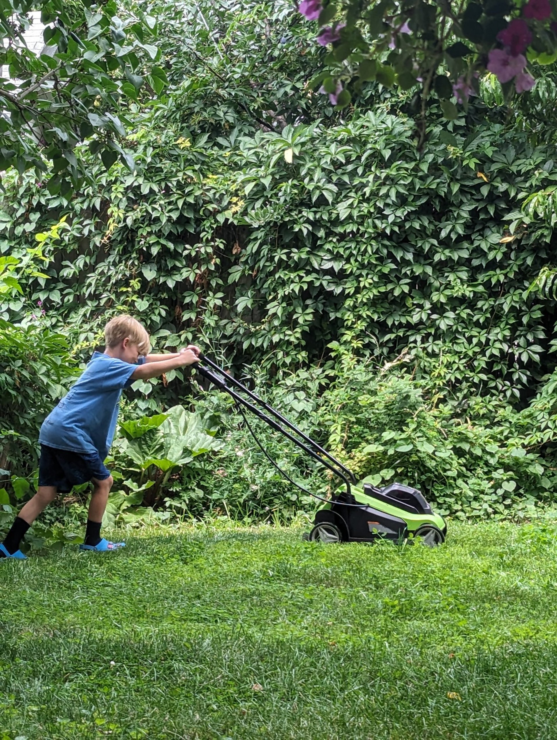 gray computer monitor