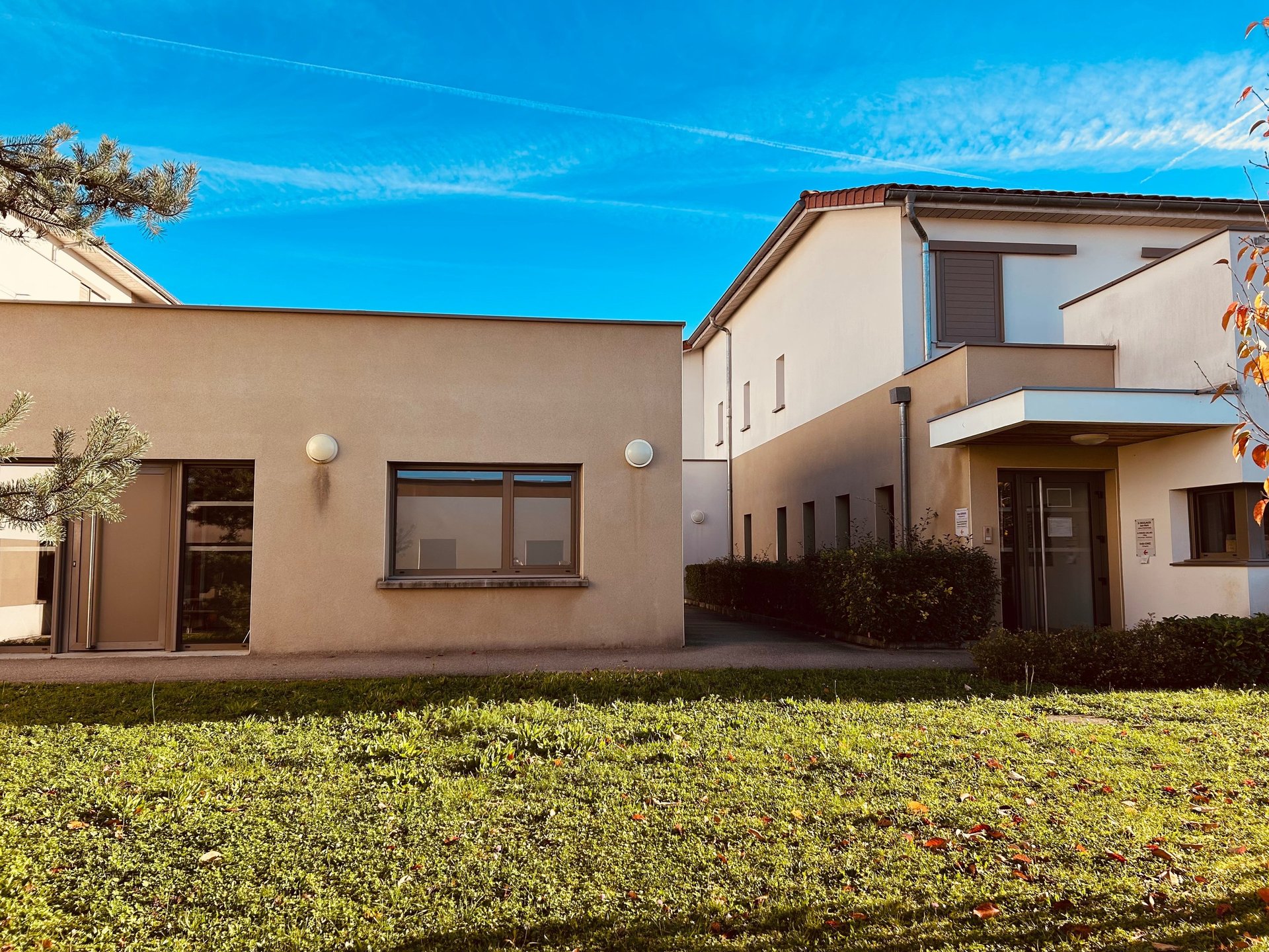 doctor holding red stethoscope