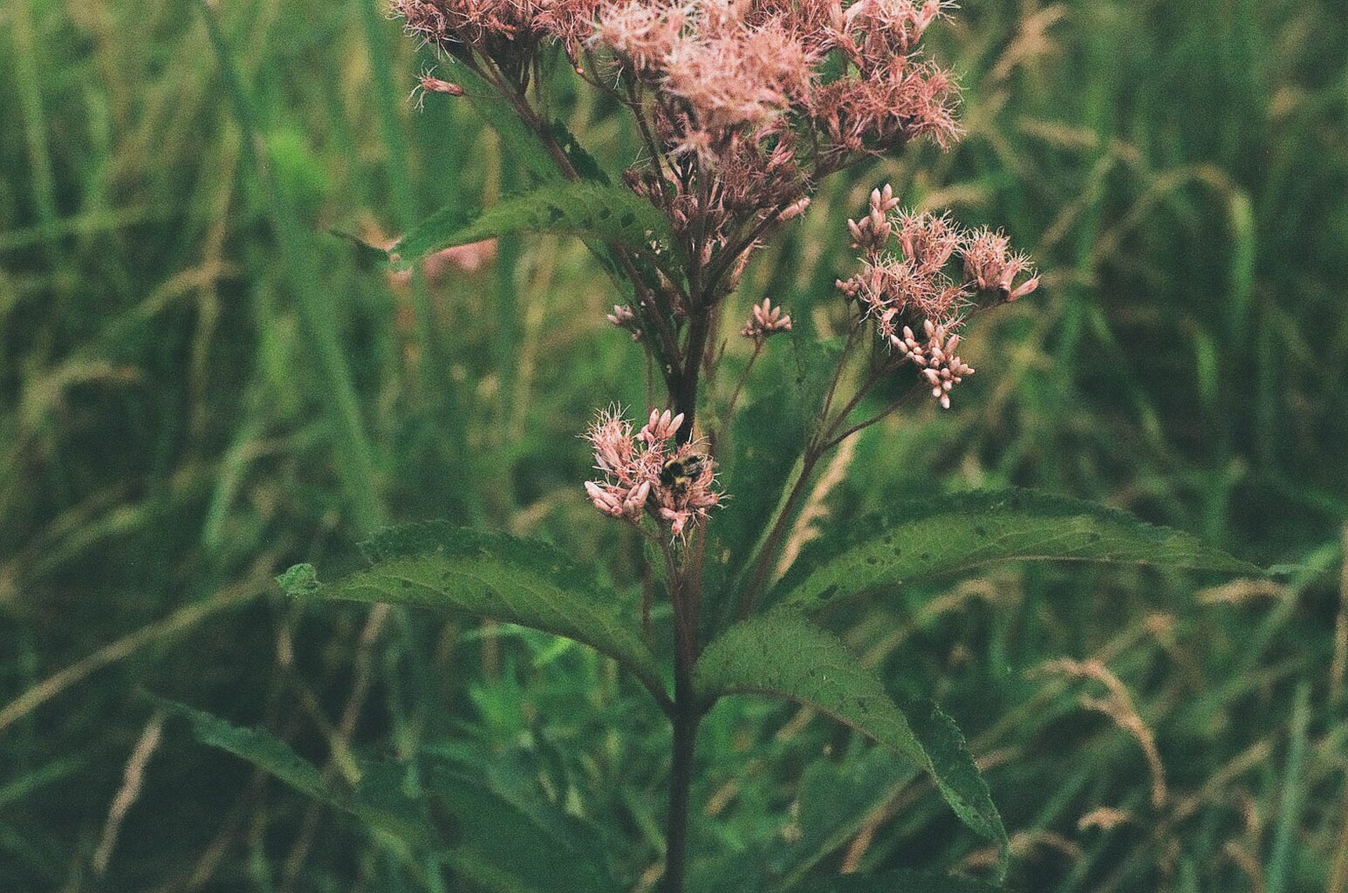 an abstract photo of a curved building with a blue sky in the background