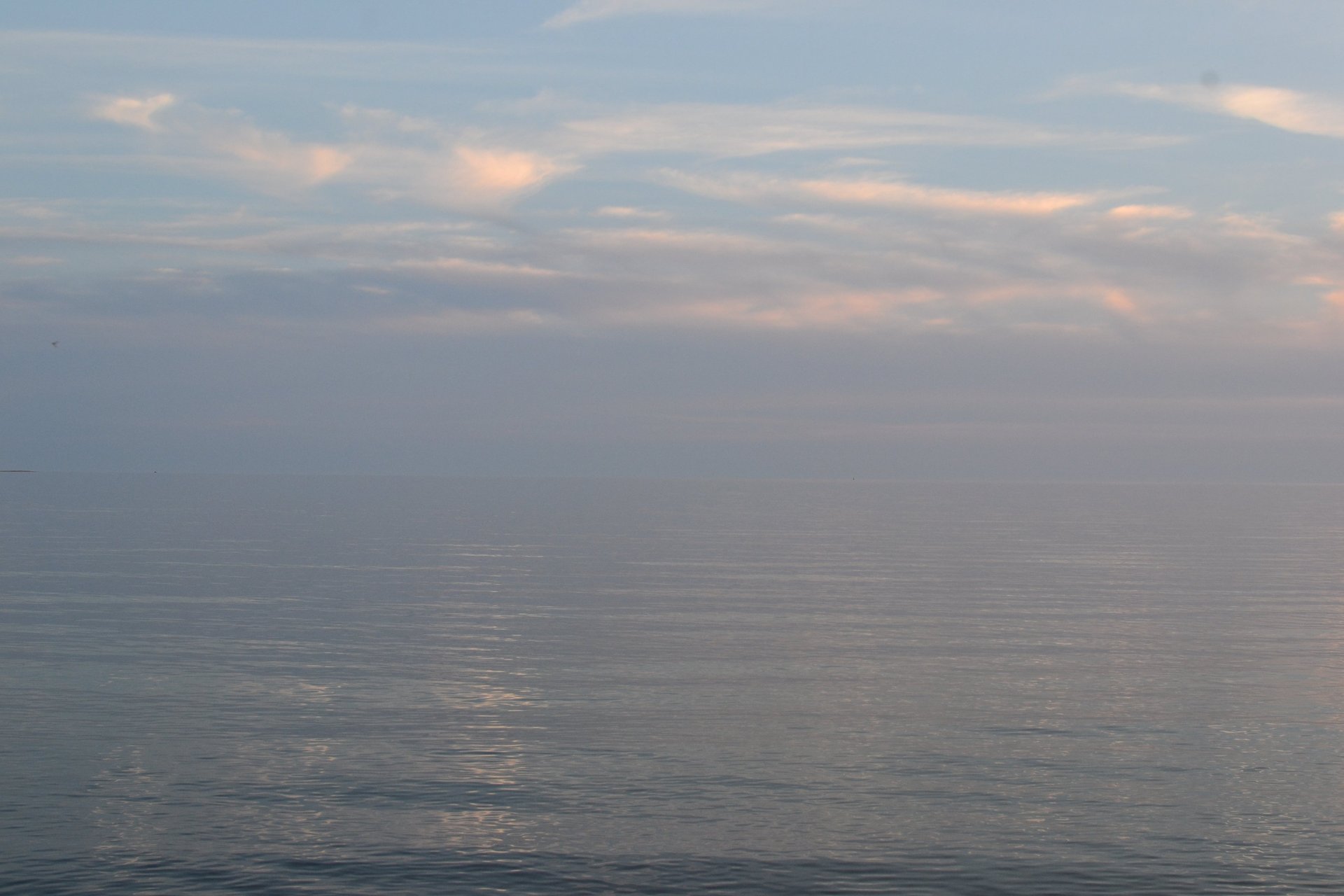 an abstract photo of a curved building with a blue sky in the background