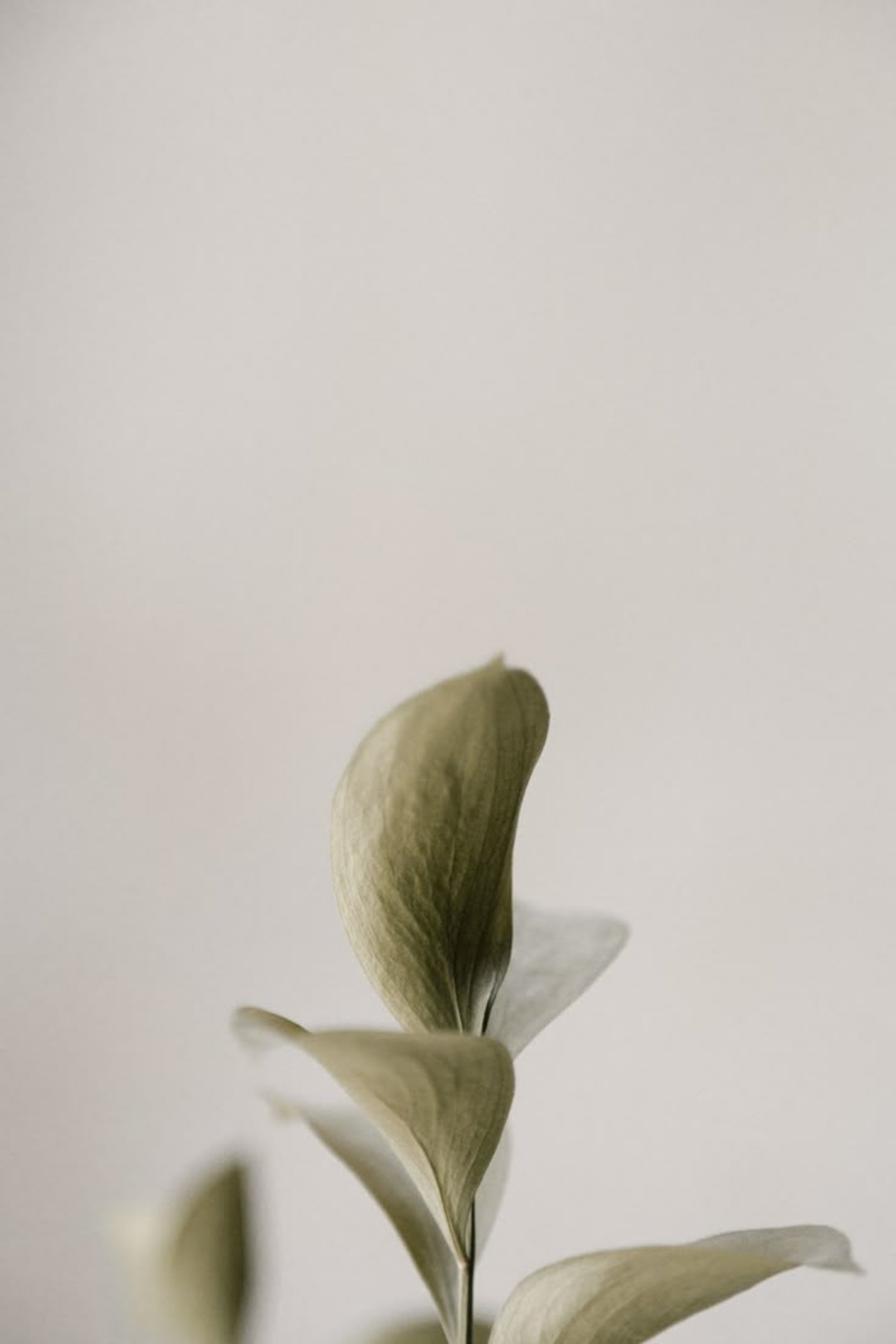 woman wearing yellow long-sleeved dress under white clouds and blue sky during daytime