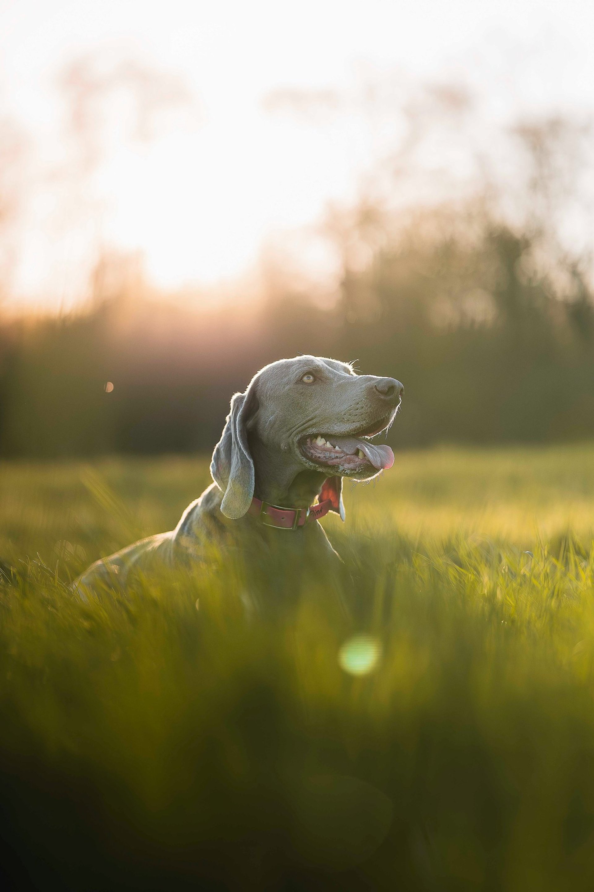 an abstract photo of a curved building with a blue sky in the background