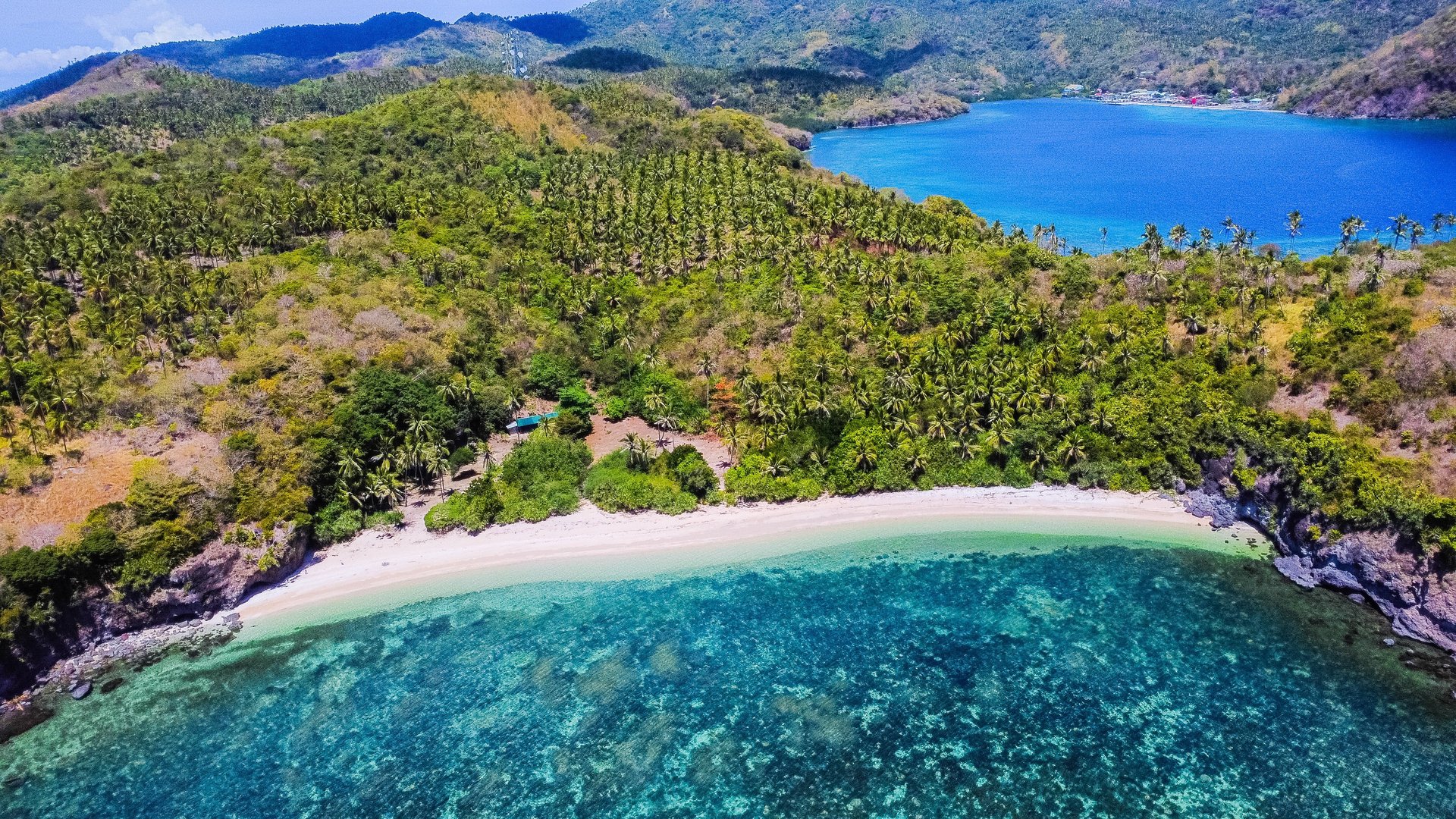 seashore during golden hour