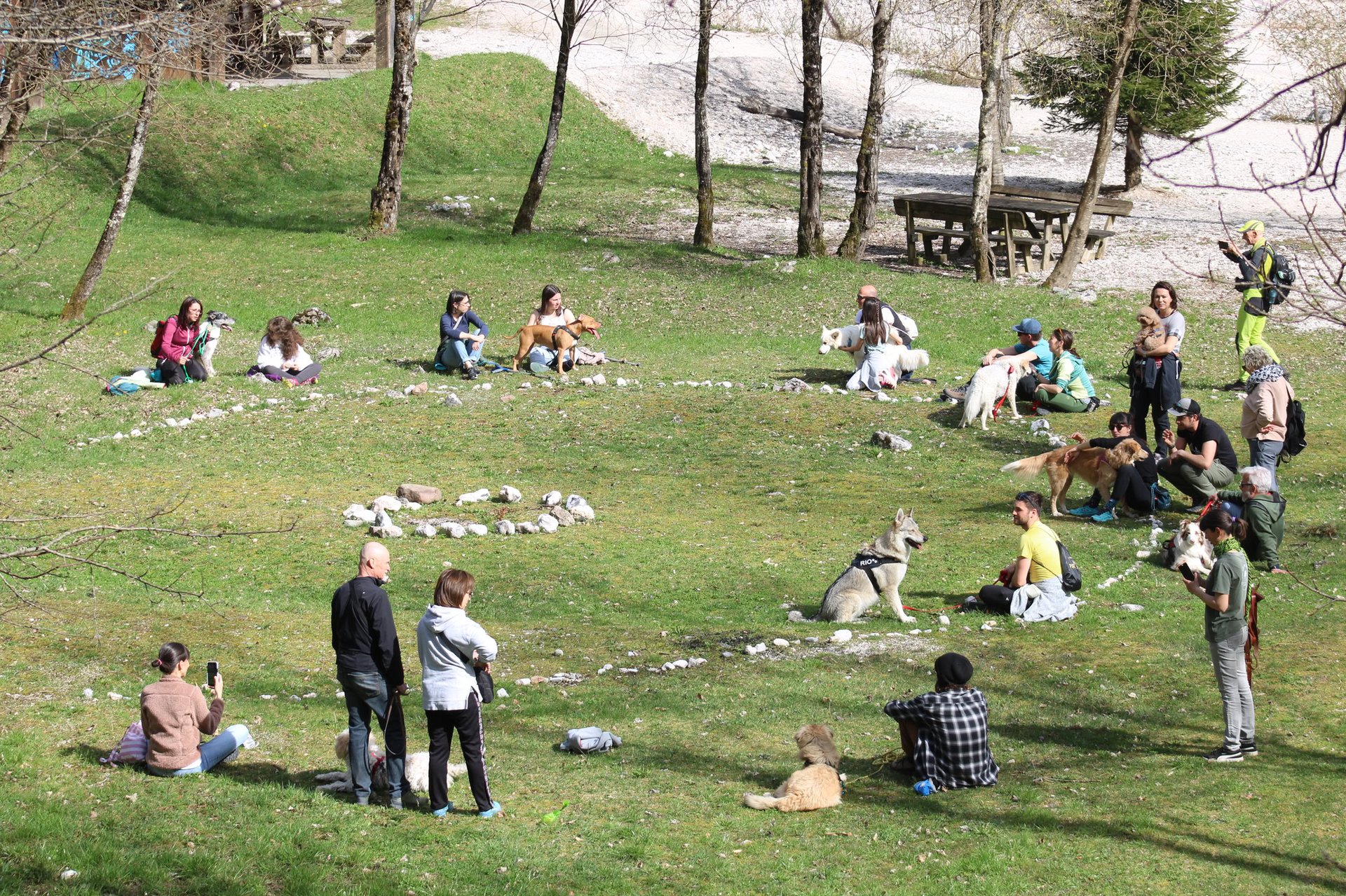 an abstract photo of a curved building with a blue sky in the background