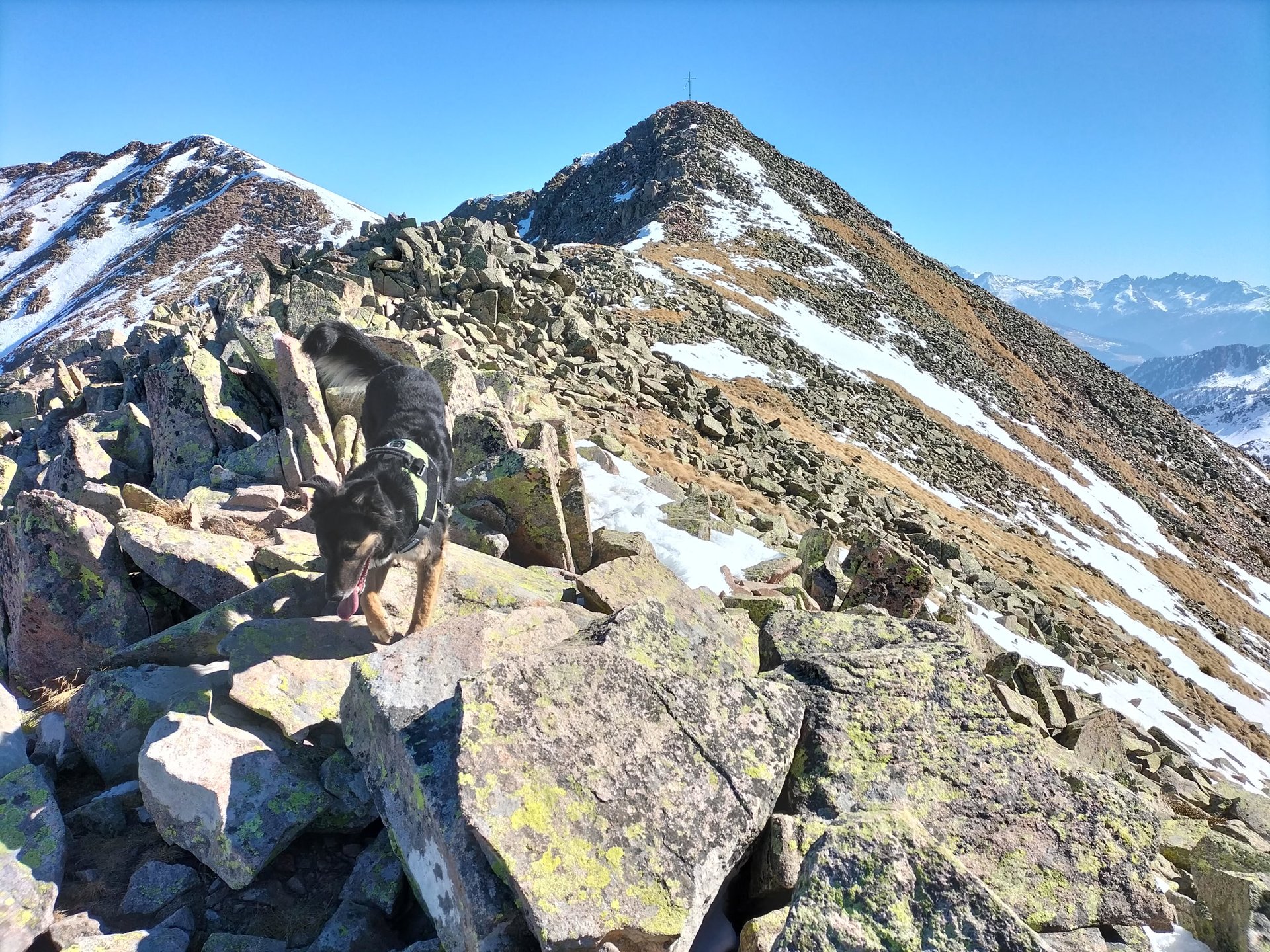 Attività di educazione cinofila relazionale a Caldonazzo