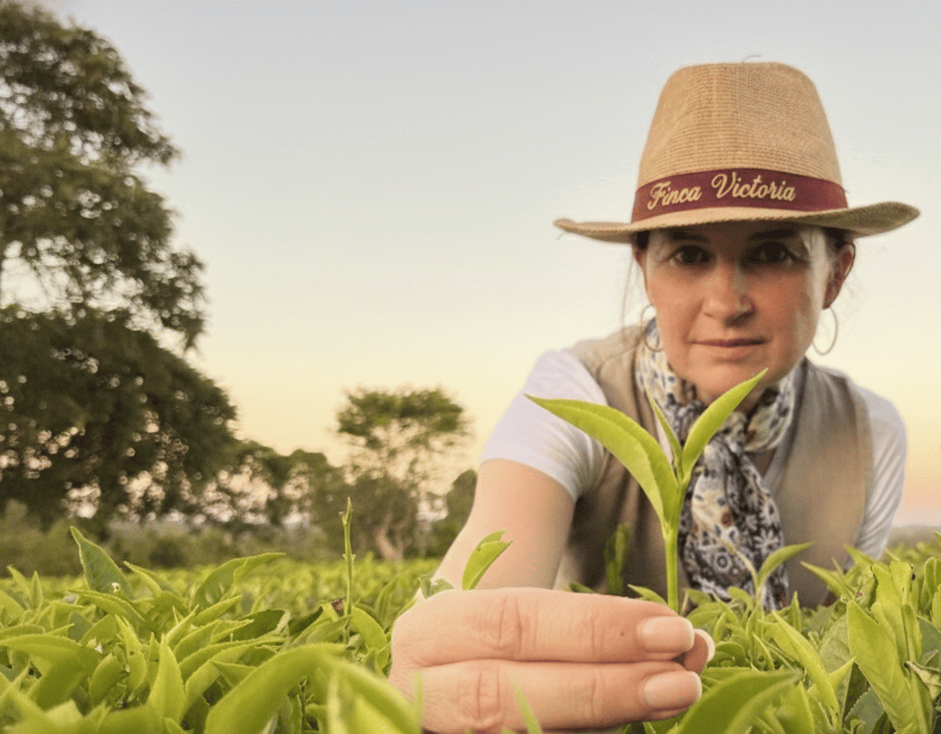 an abstract photo of a curved building with a blue sky in the background
