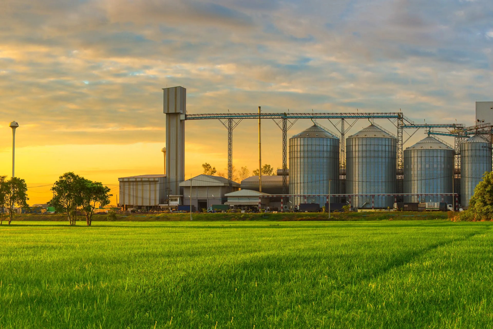 lighted brown concrete buildings near body of water at nighttime