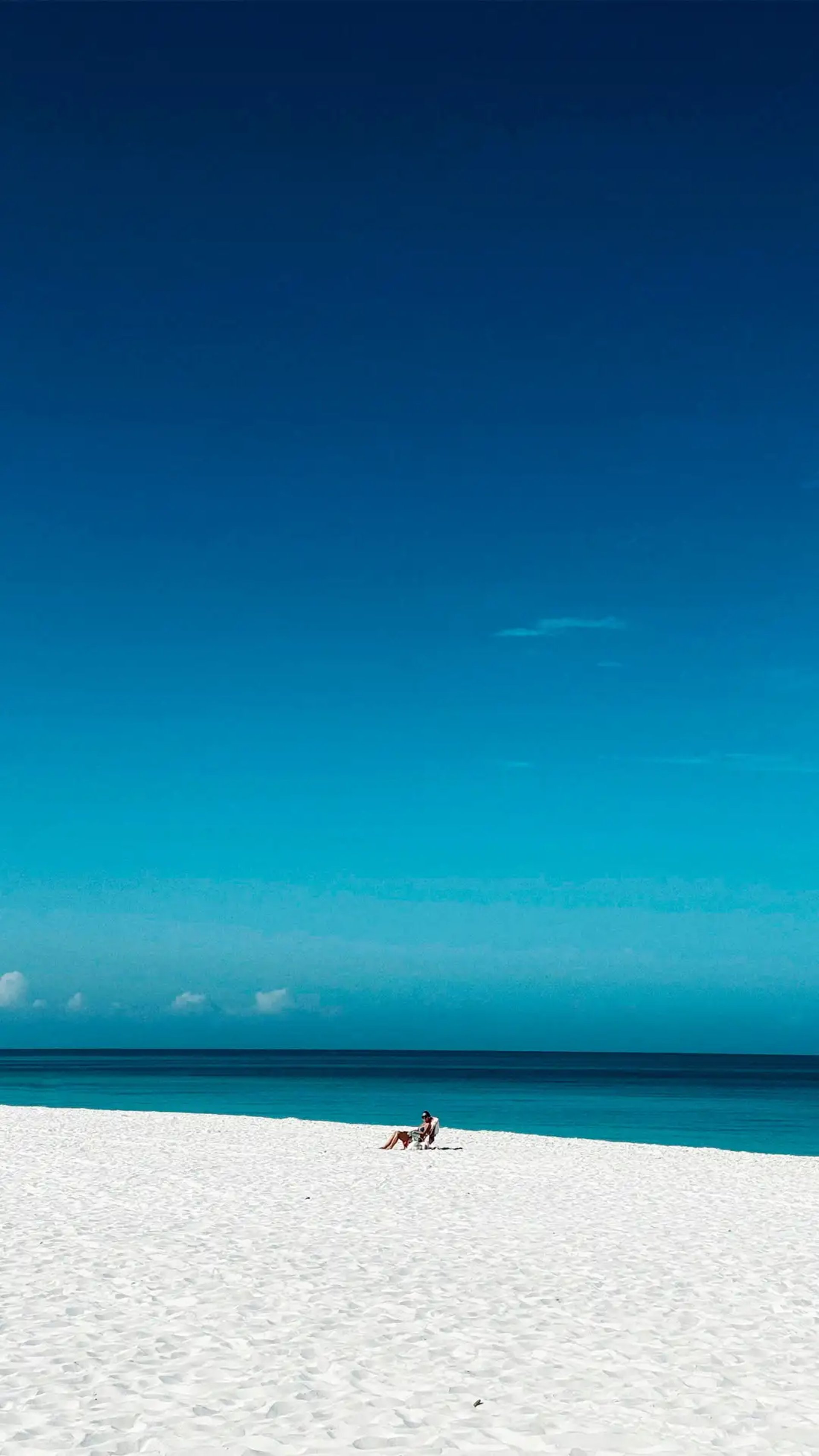 an abstract photo of a curved building with a blue sky in the background
