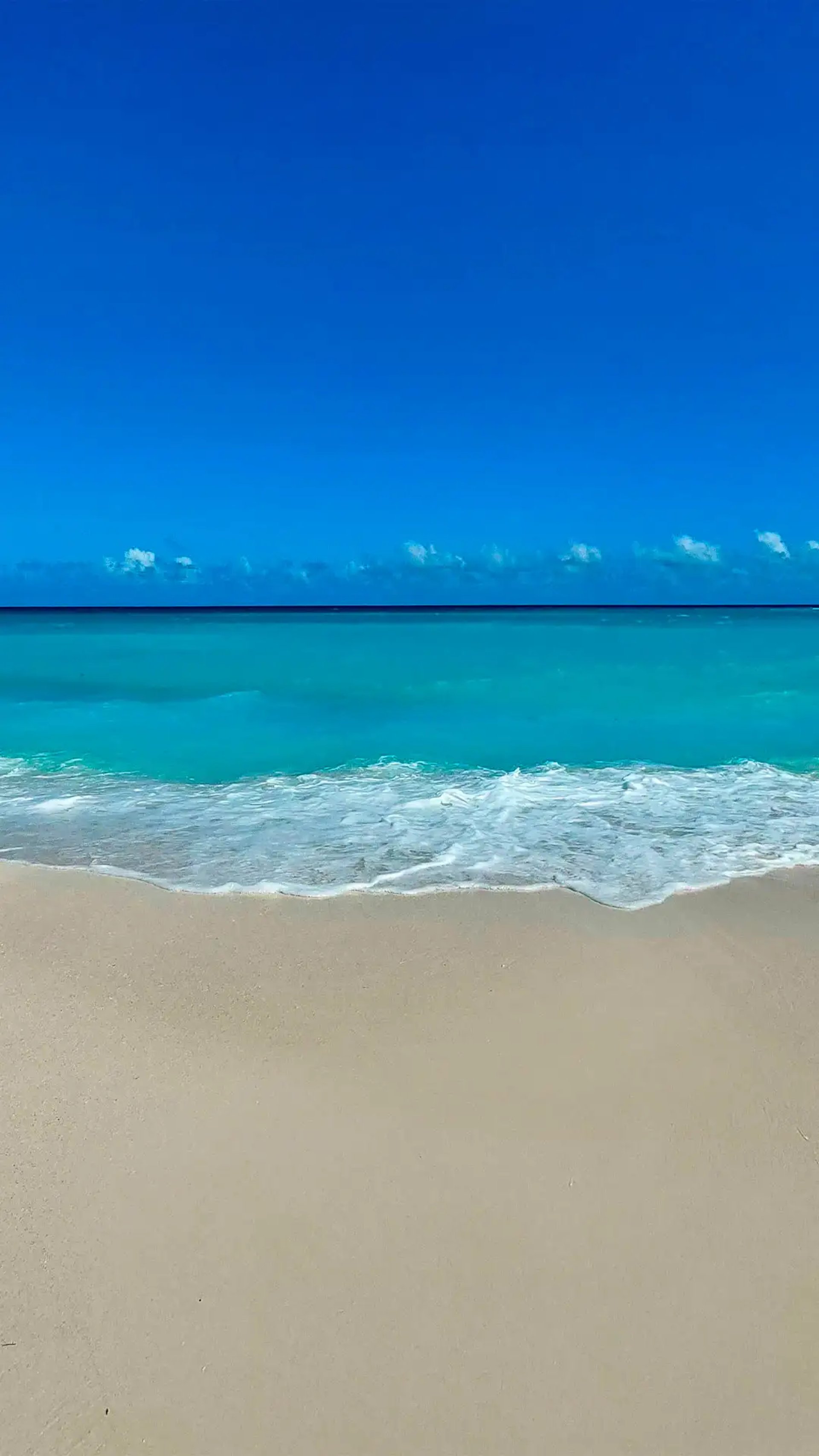 an abstract photo of a curved building with a blue sky in the background