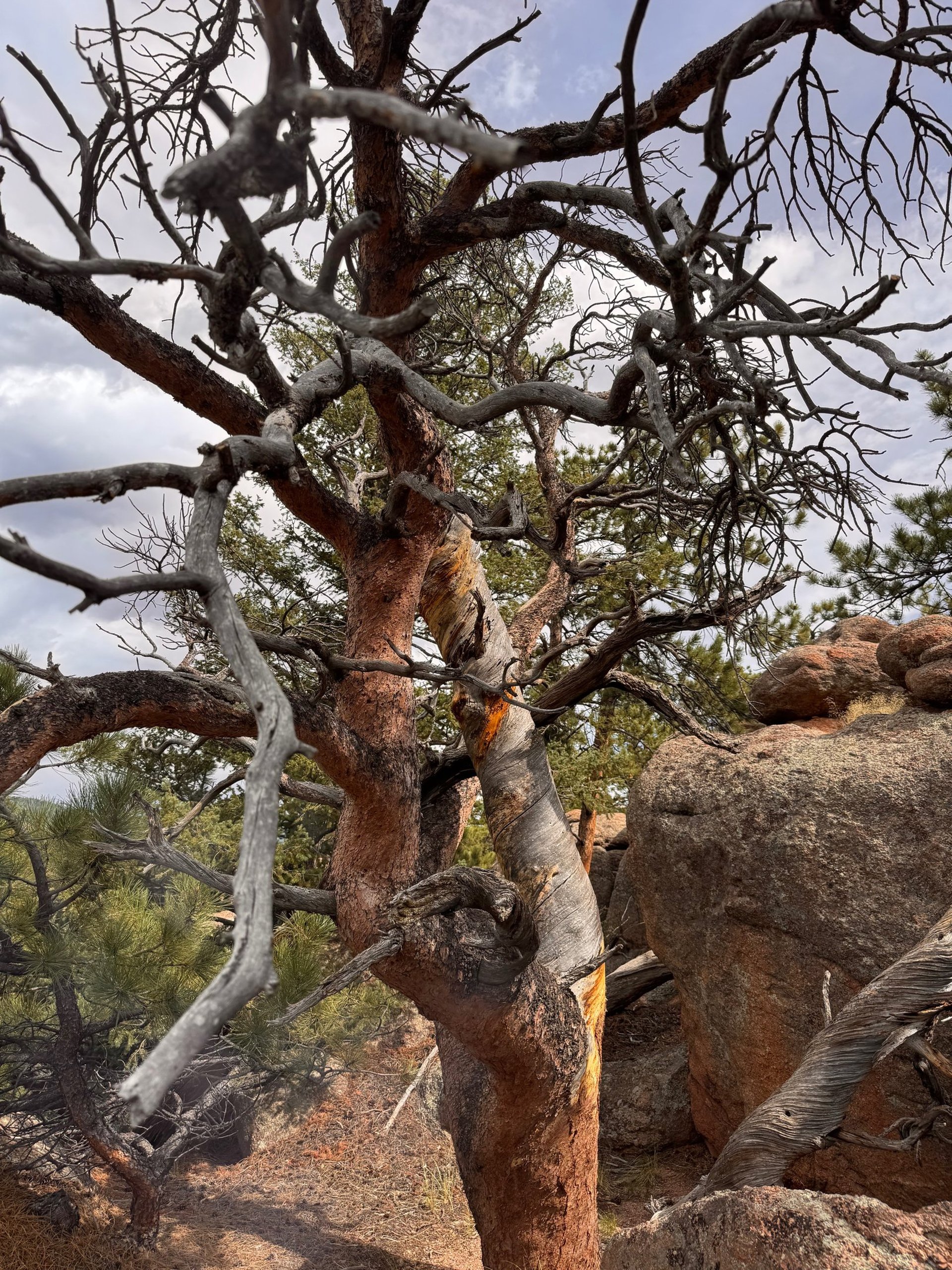 woman wearing yellow long-sleeved dress under white clouds and blue sky during daytime