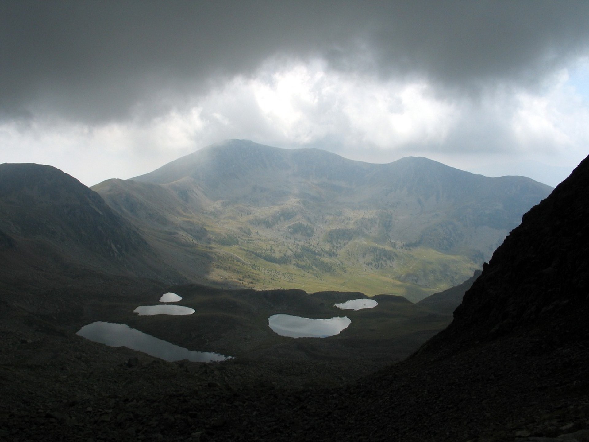 white and brown train door