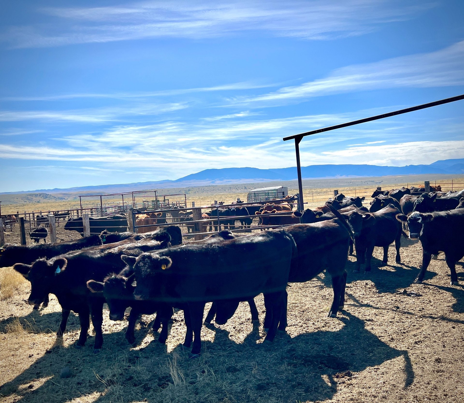 an abstract photo of a curved building with a blue sky in the background