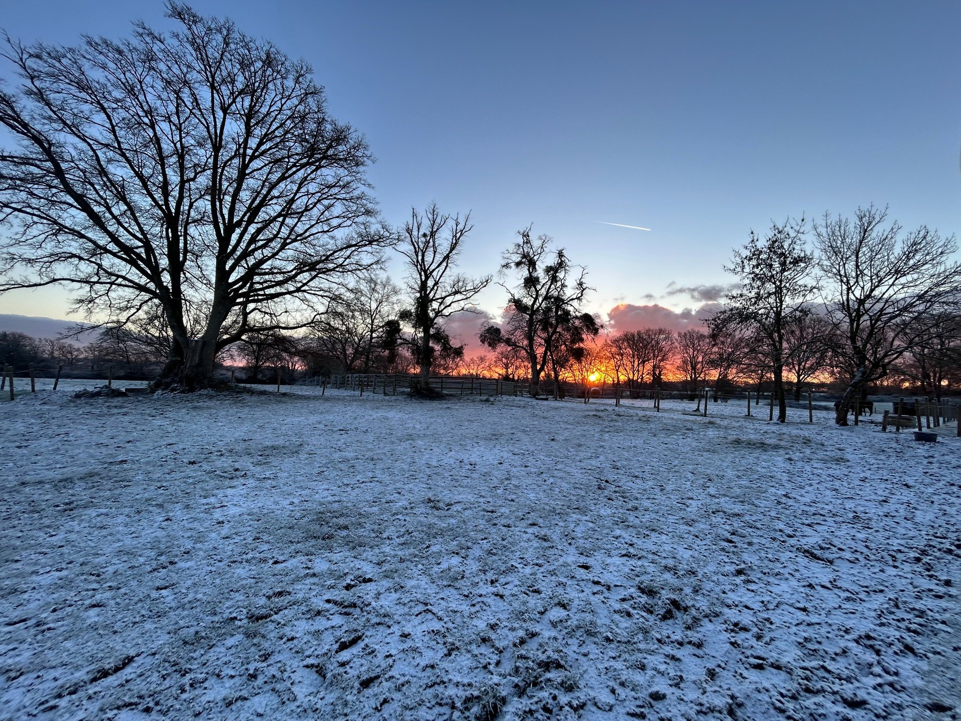 an abstract photo of a curved building with a blue sky in the background