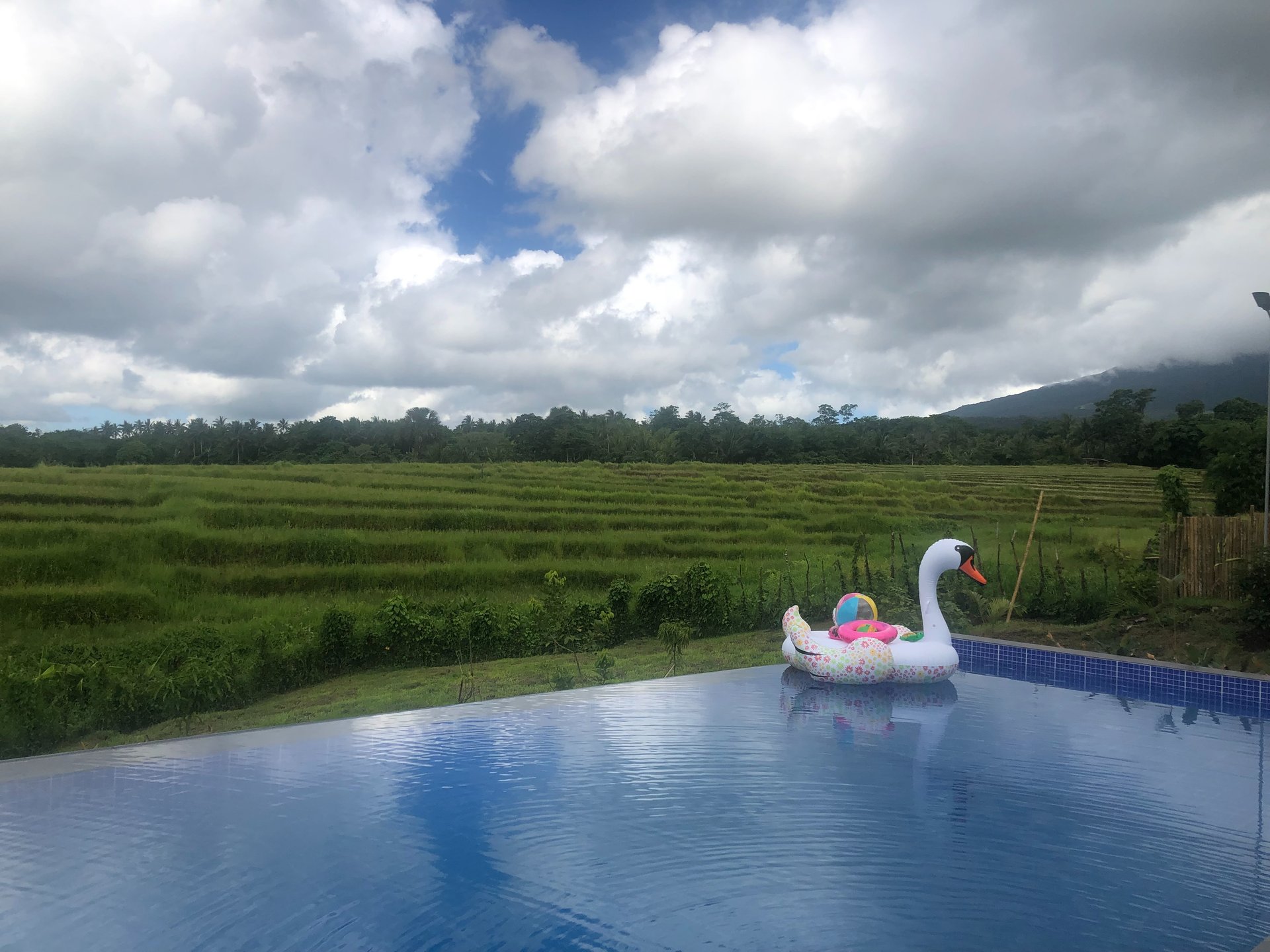 black and white bed linen