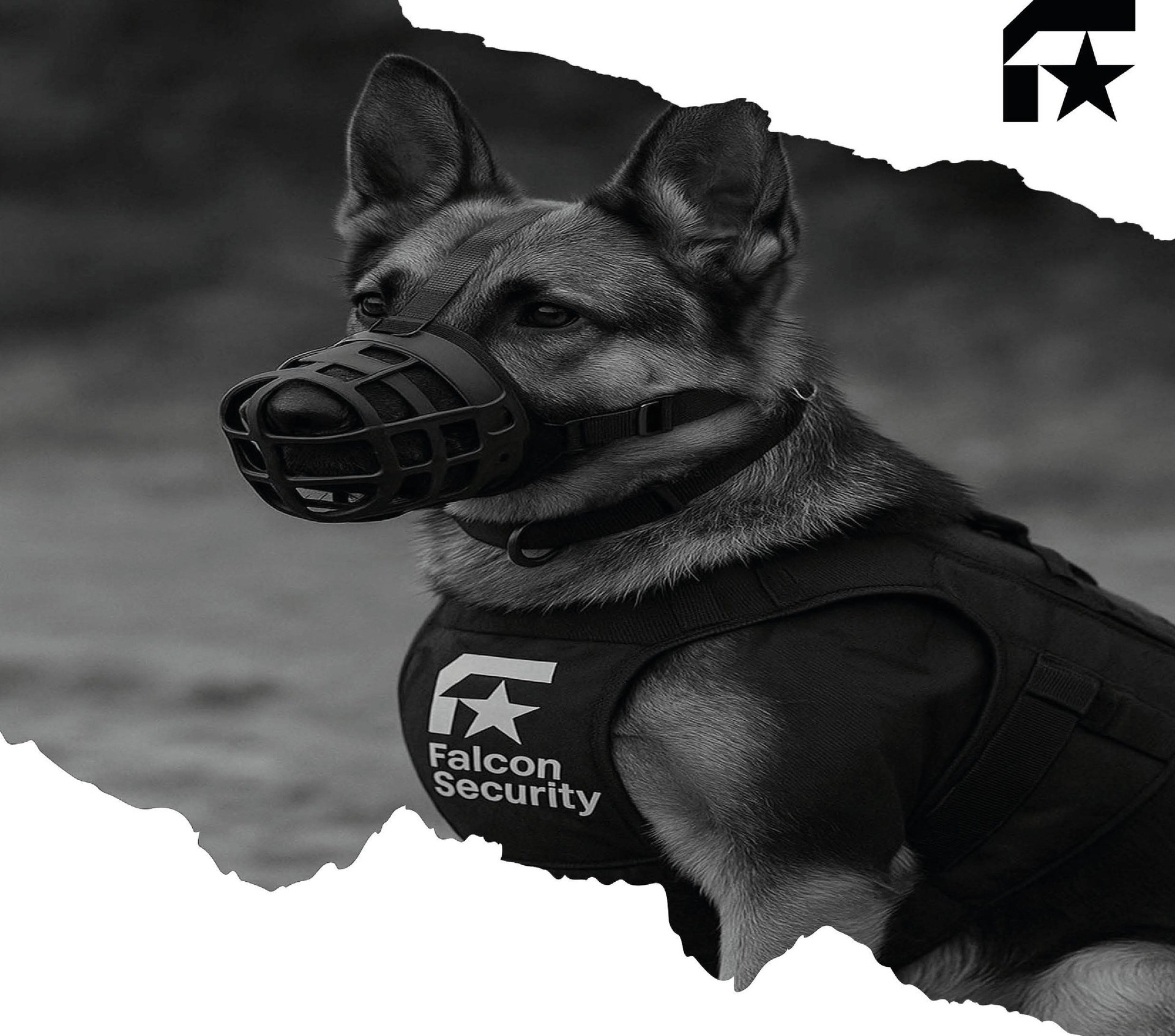 black and brown leather padded tub sofa