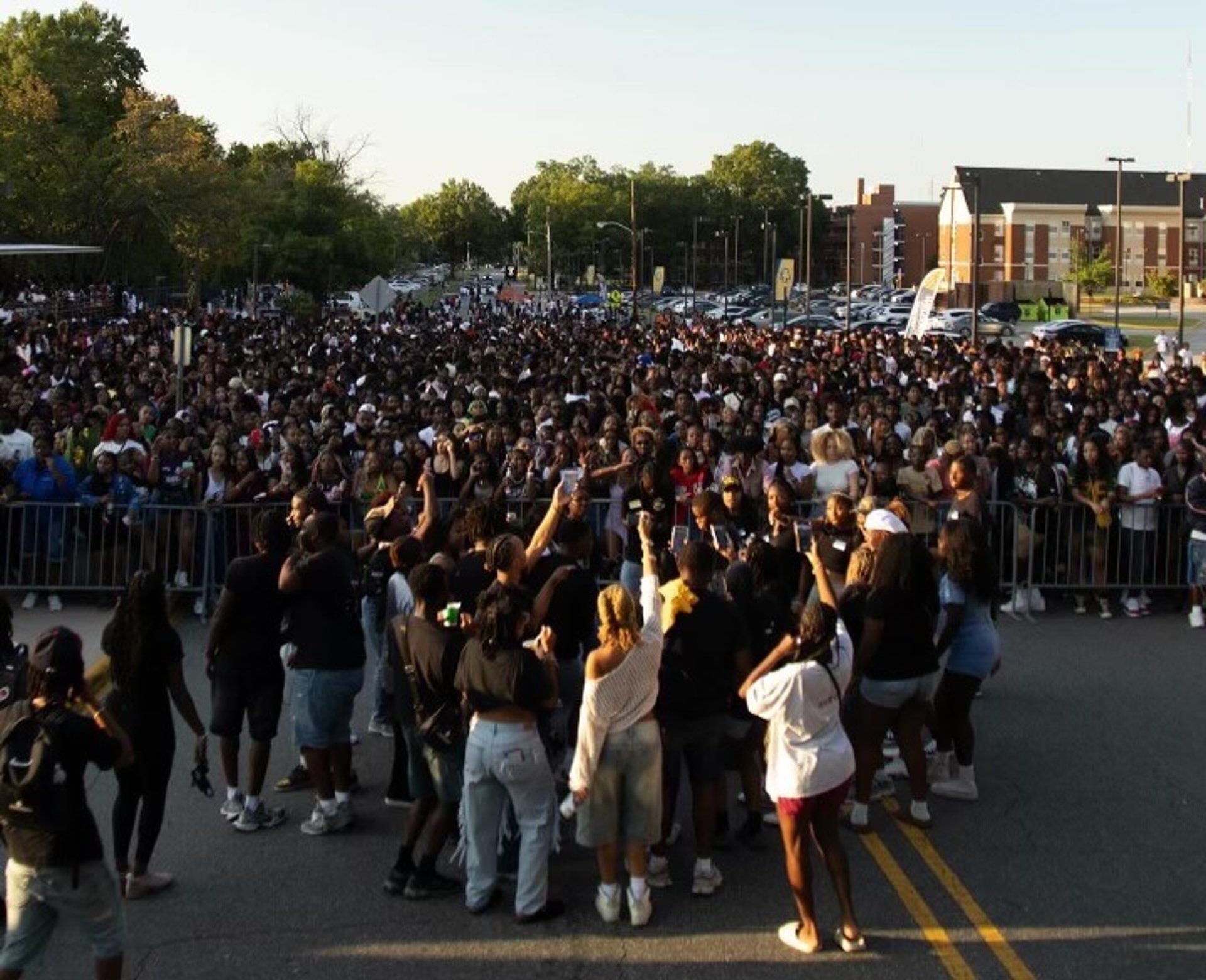 people raising their hands on concert