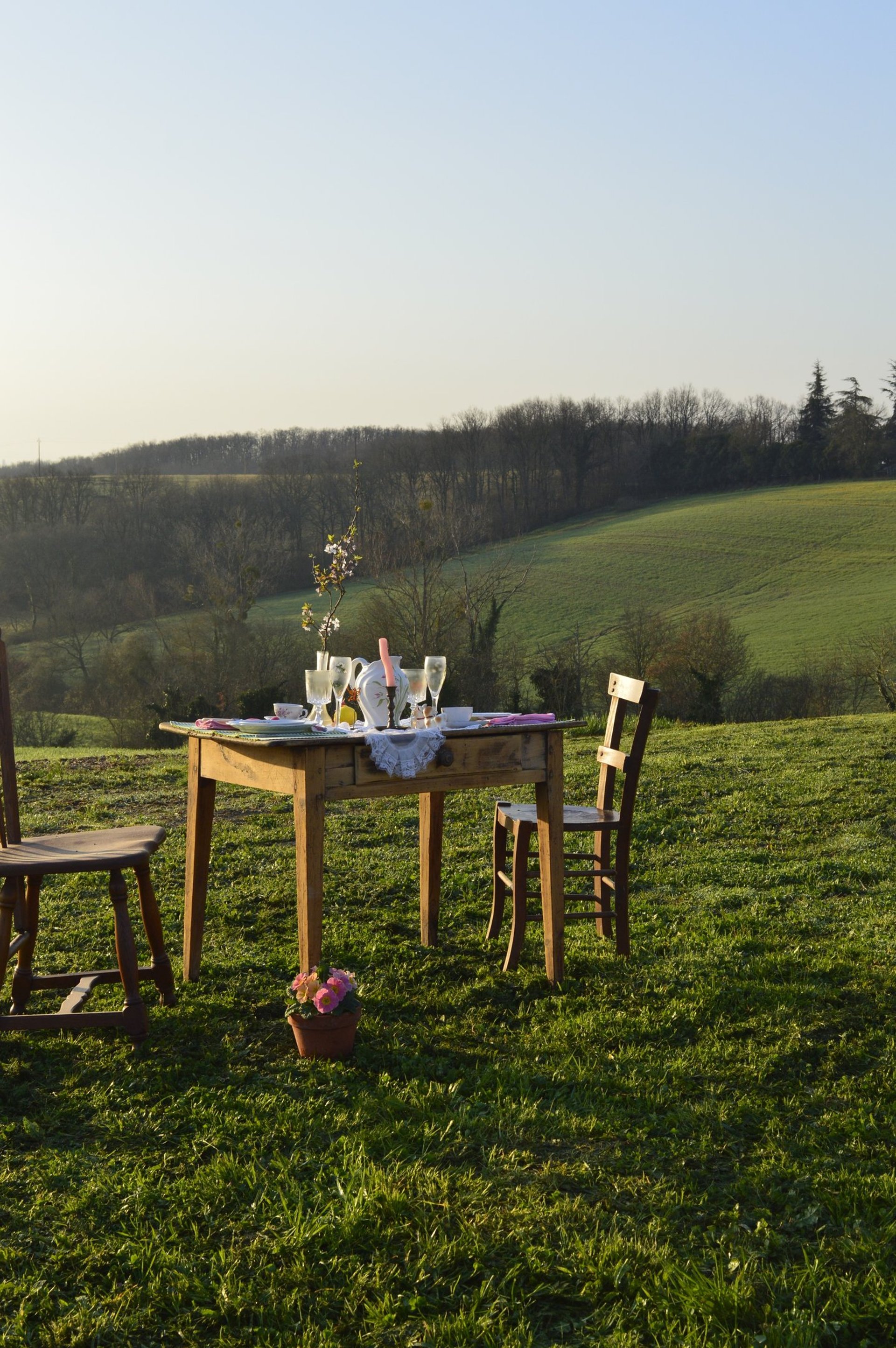 red and green flower petals on brown paper bag