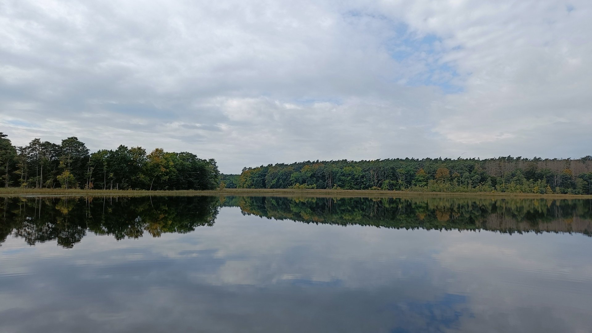 woman wearing yellow long-sleeved dress under white clouds and blue sky during daytime