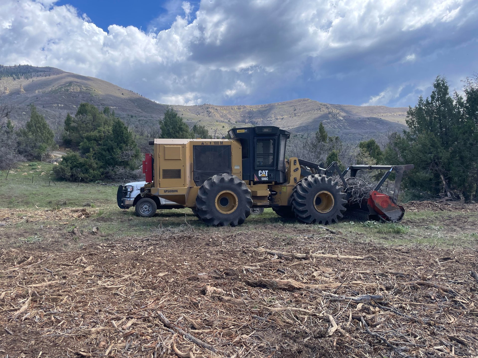 woman wearing yellow long-sleeved dress under white clouds and blue sky during daytime