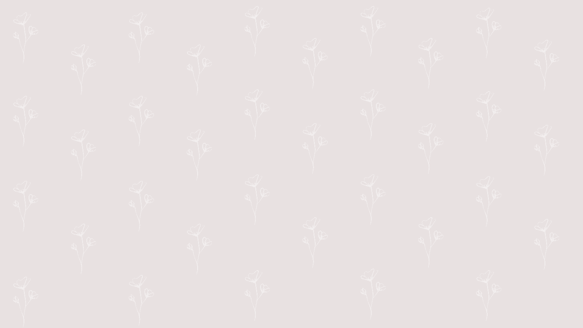 fondo de flores en rosa y blanco