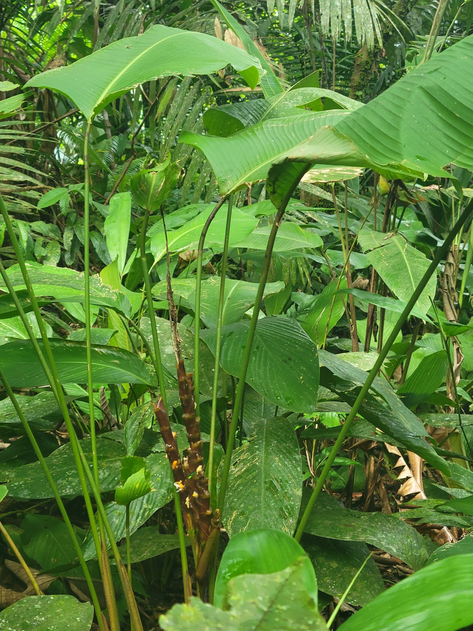 an abstract photo of a curved building with a blue sky in the background