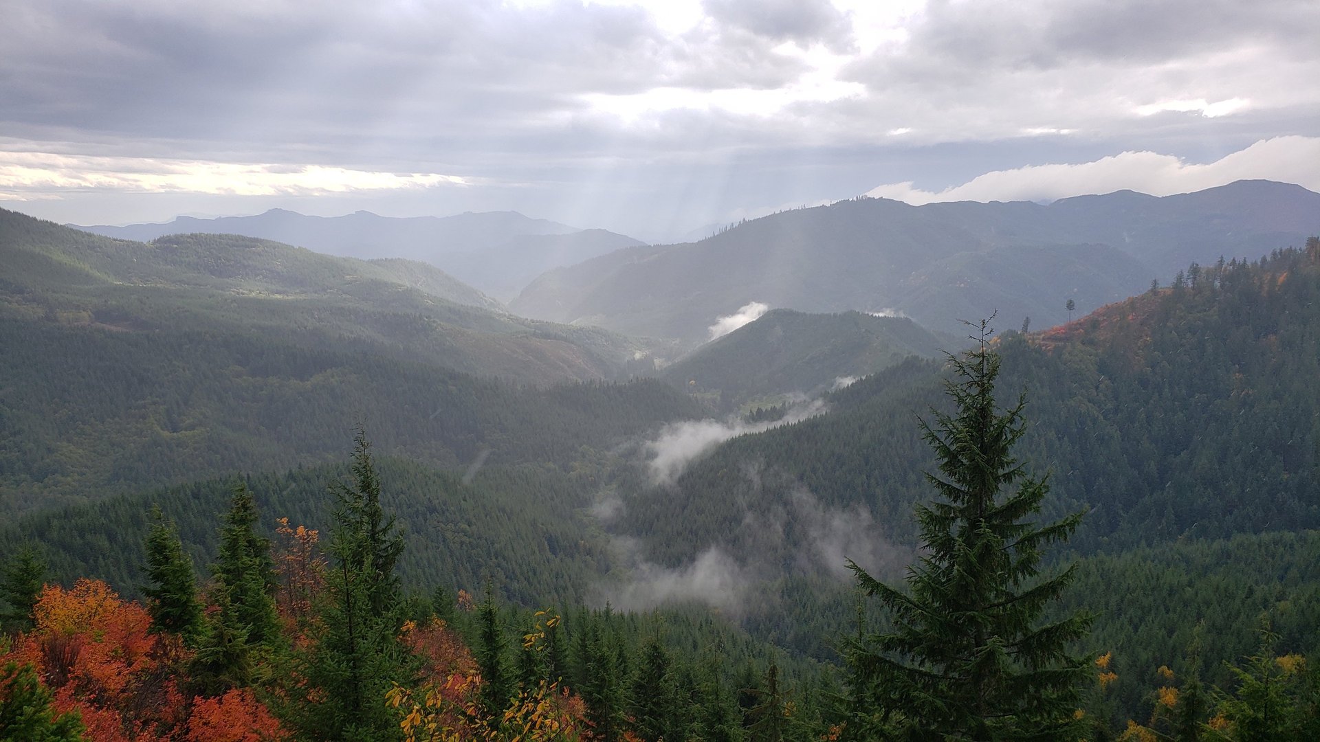 black and brown leather padded tub sofa