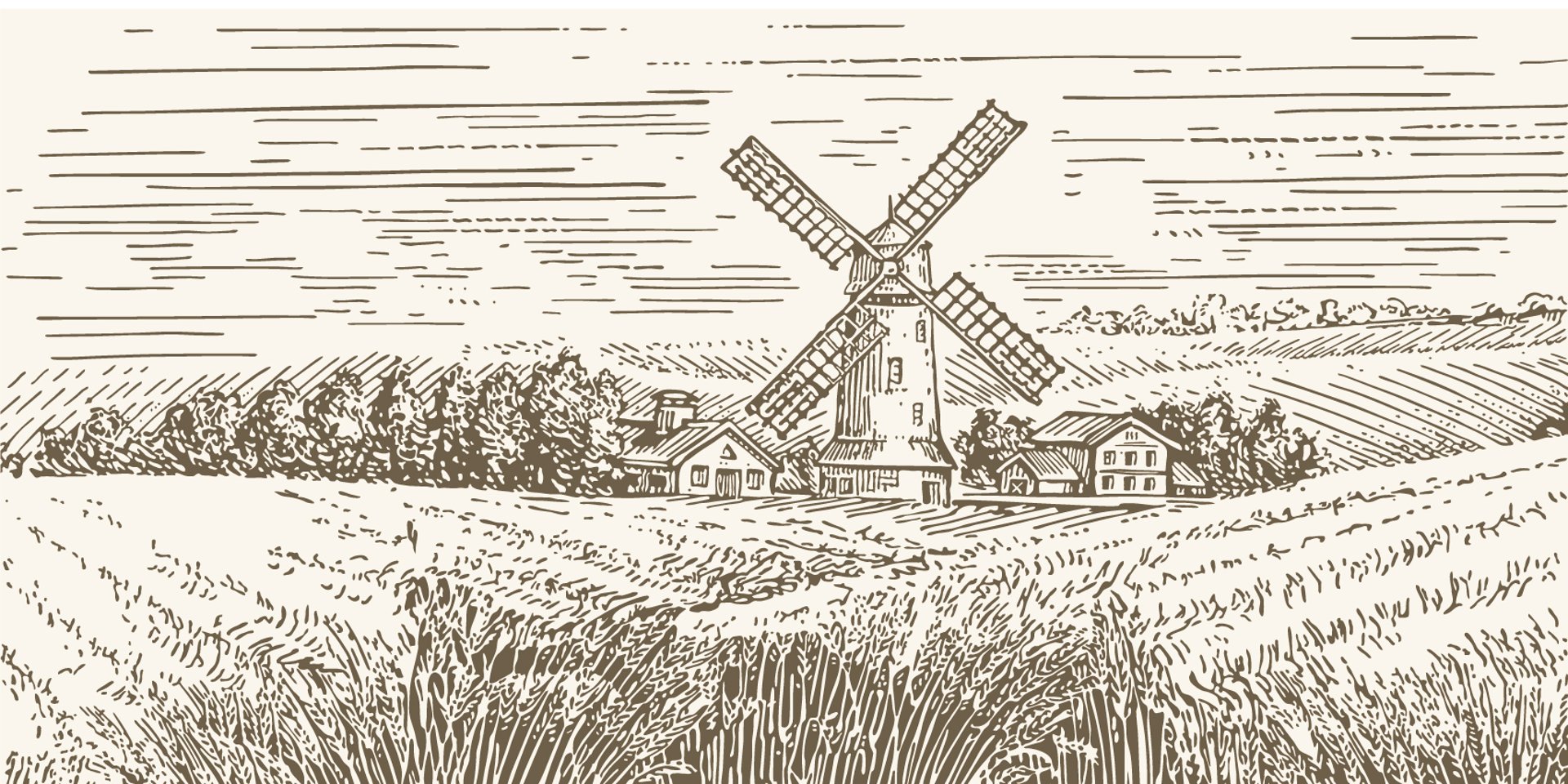 woman holding dried flower