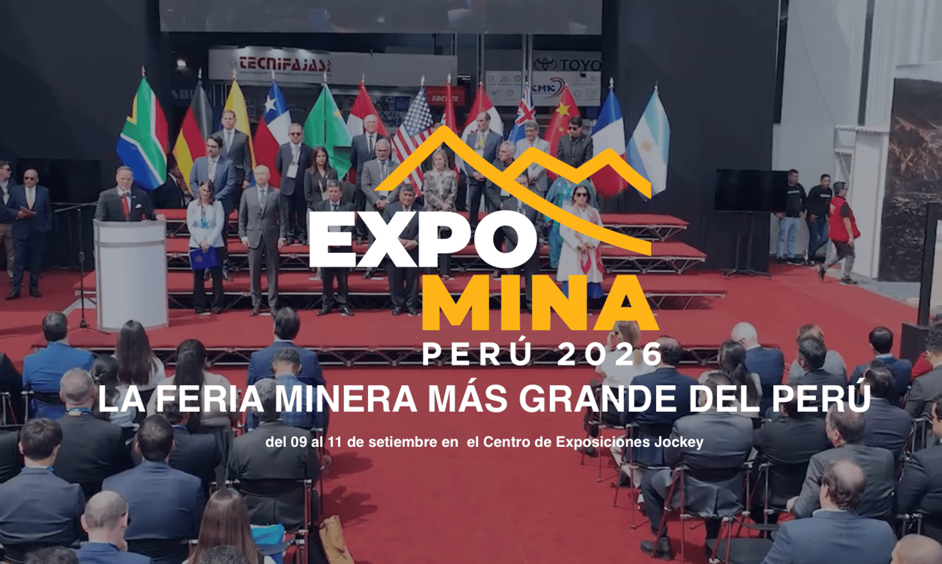 aerial view of green trees and river during daytime