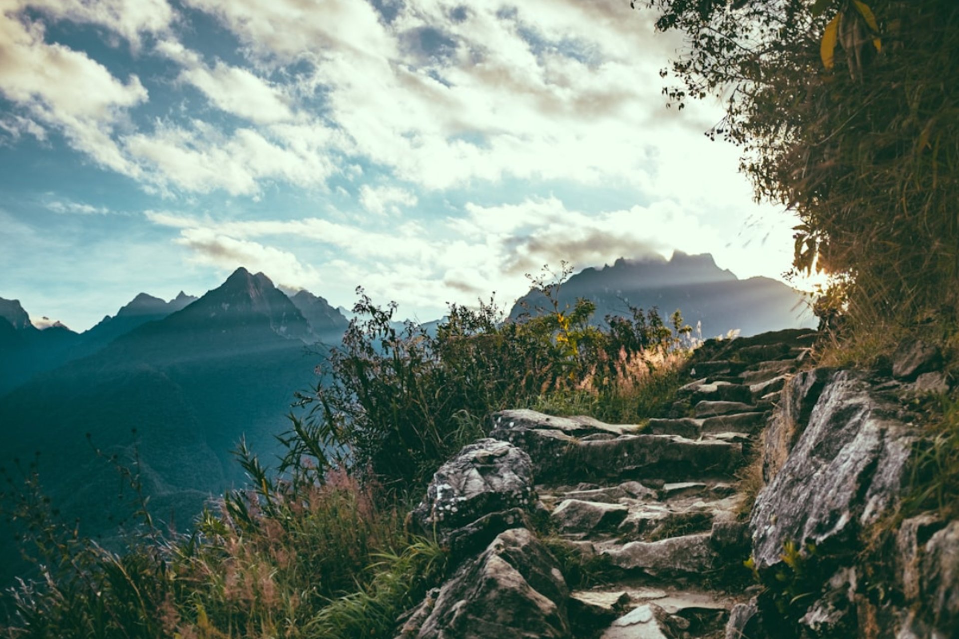 an abstract photo of a curved building with a blue sky in the background