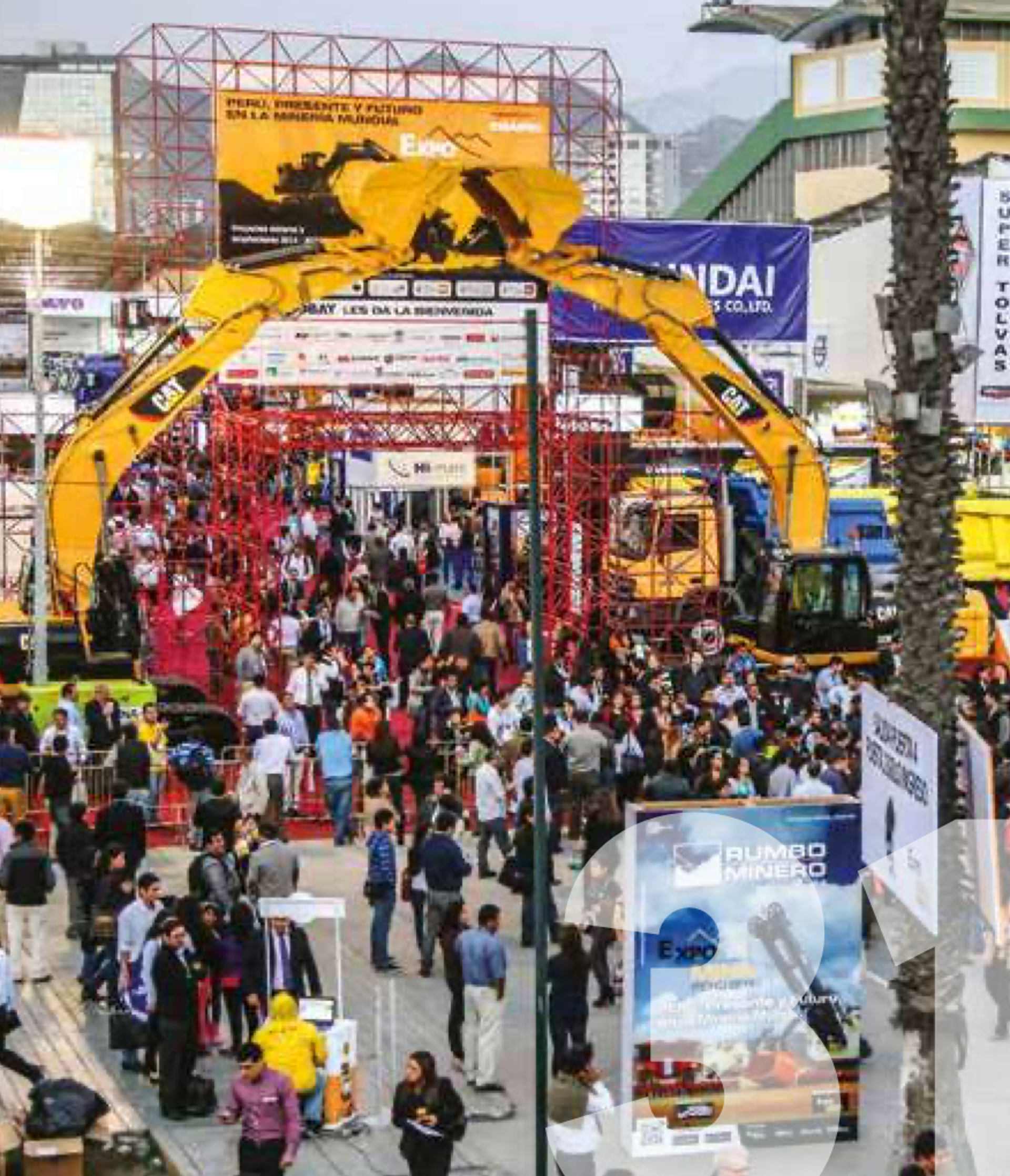 aerial view of green trees and river during daytime