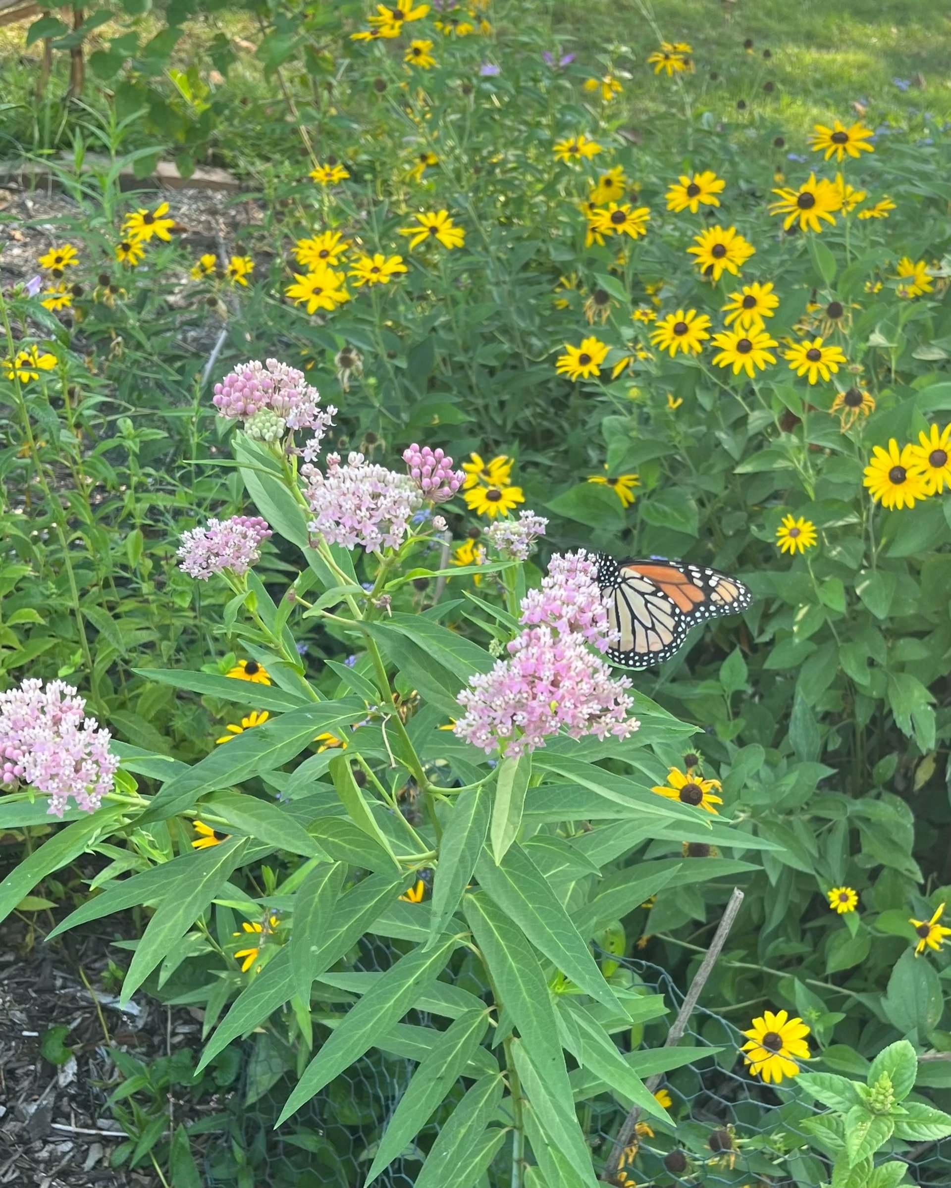 gray computer monitor