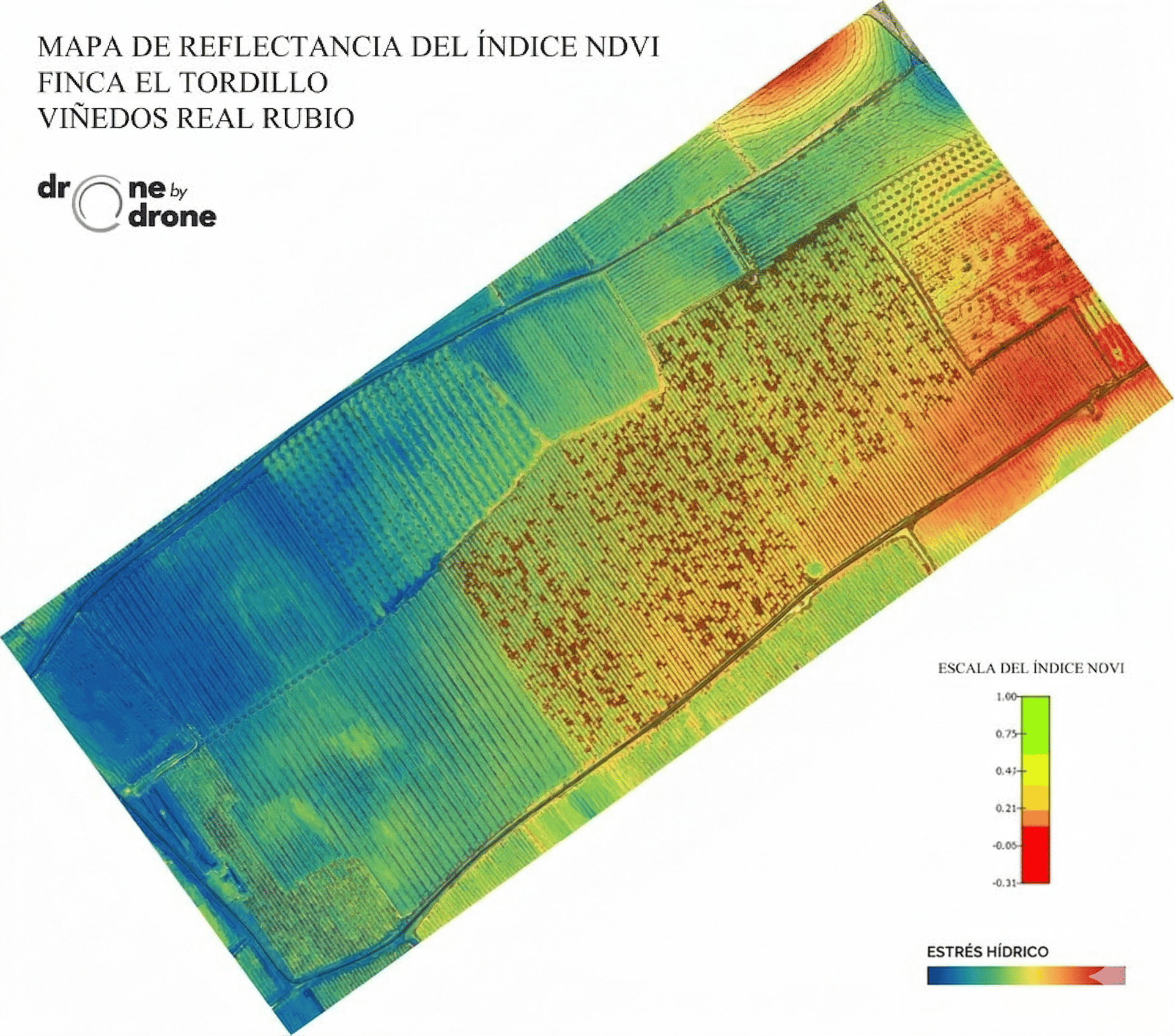 Dron con sensor multiespectral para mapeo aéreo. Análisis multiespectral y digitalización de cultivos en Mallorca.