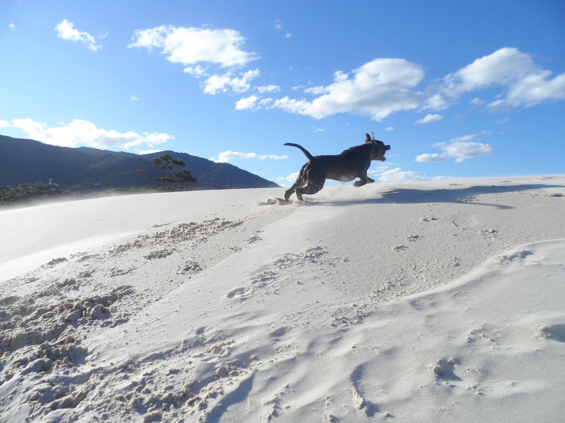 gray computer monitor