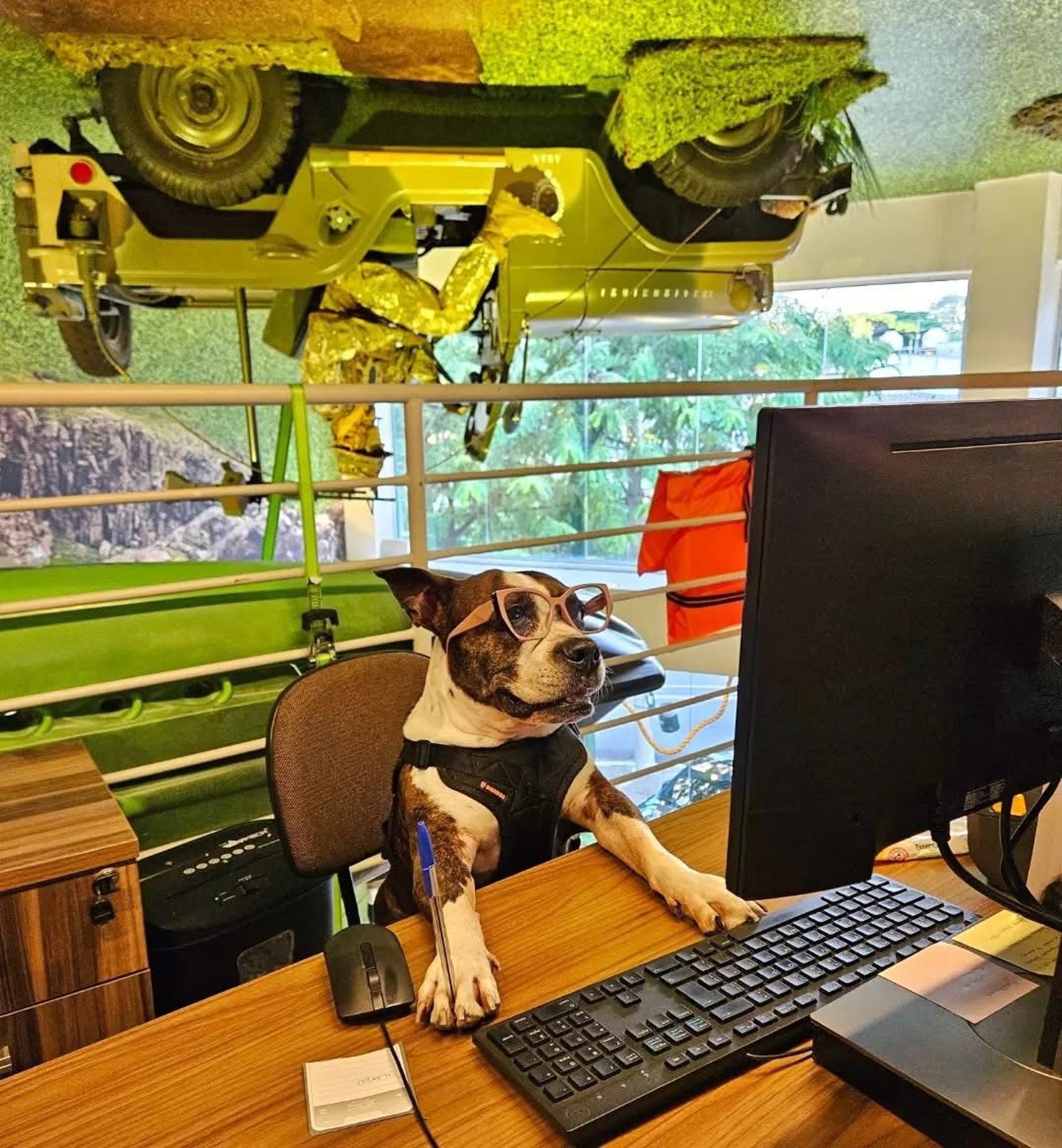 black blue and yellow textile