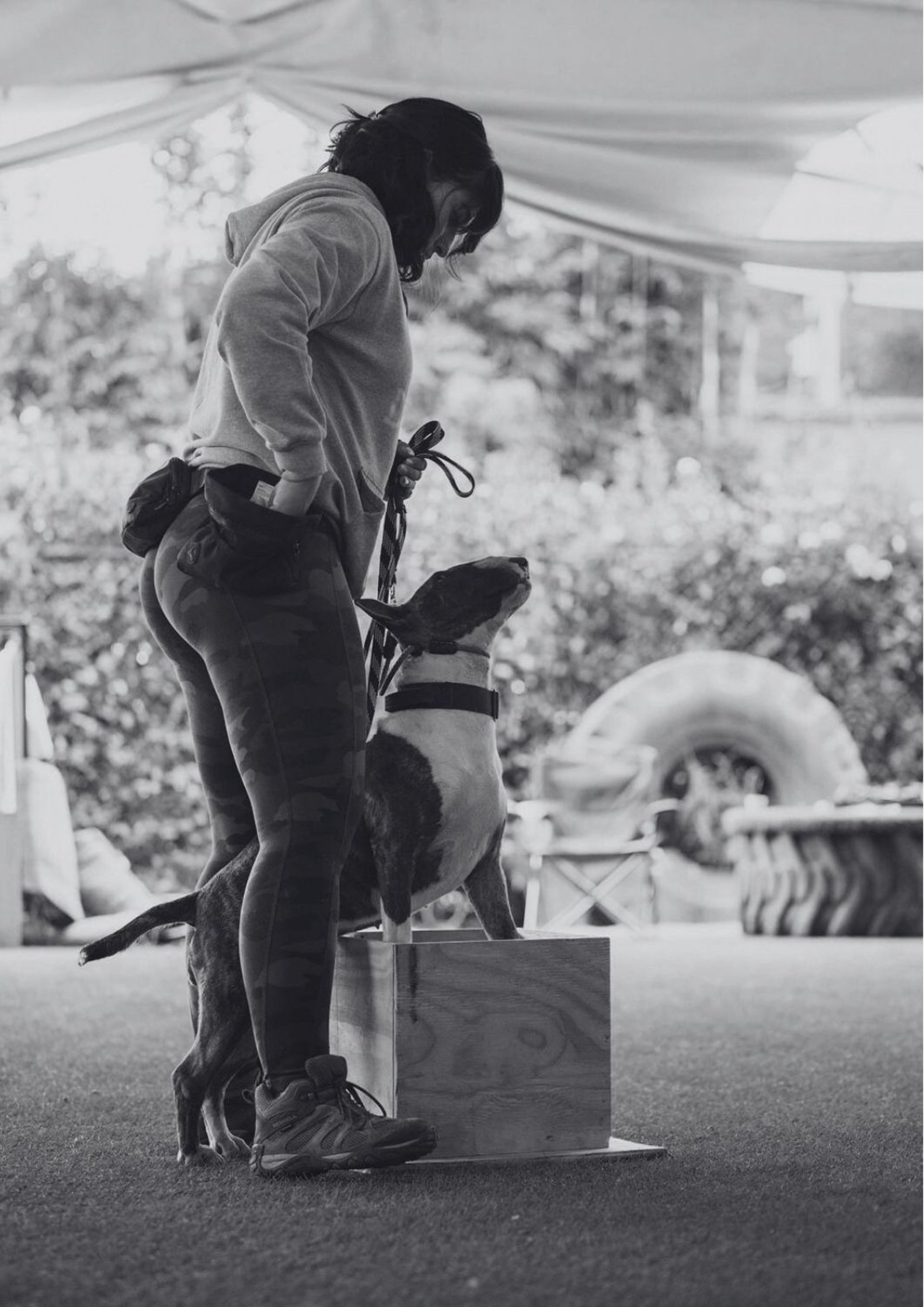 Sesión de entrenamiento canino en seminario NePoPo®