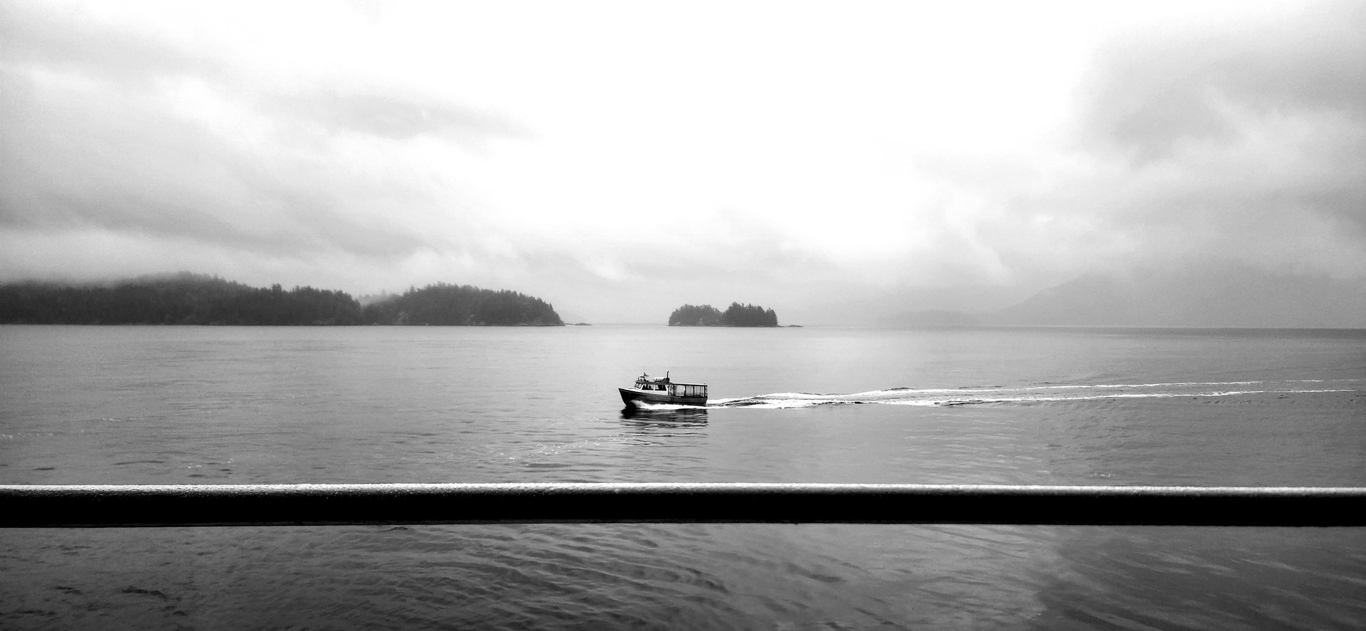 woman holding dried flower