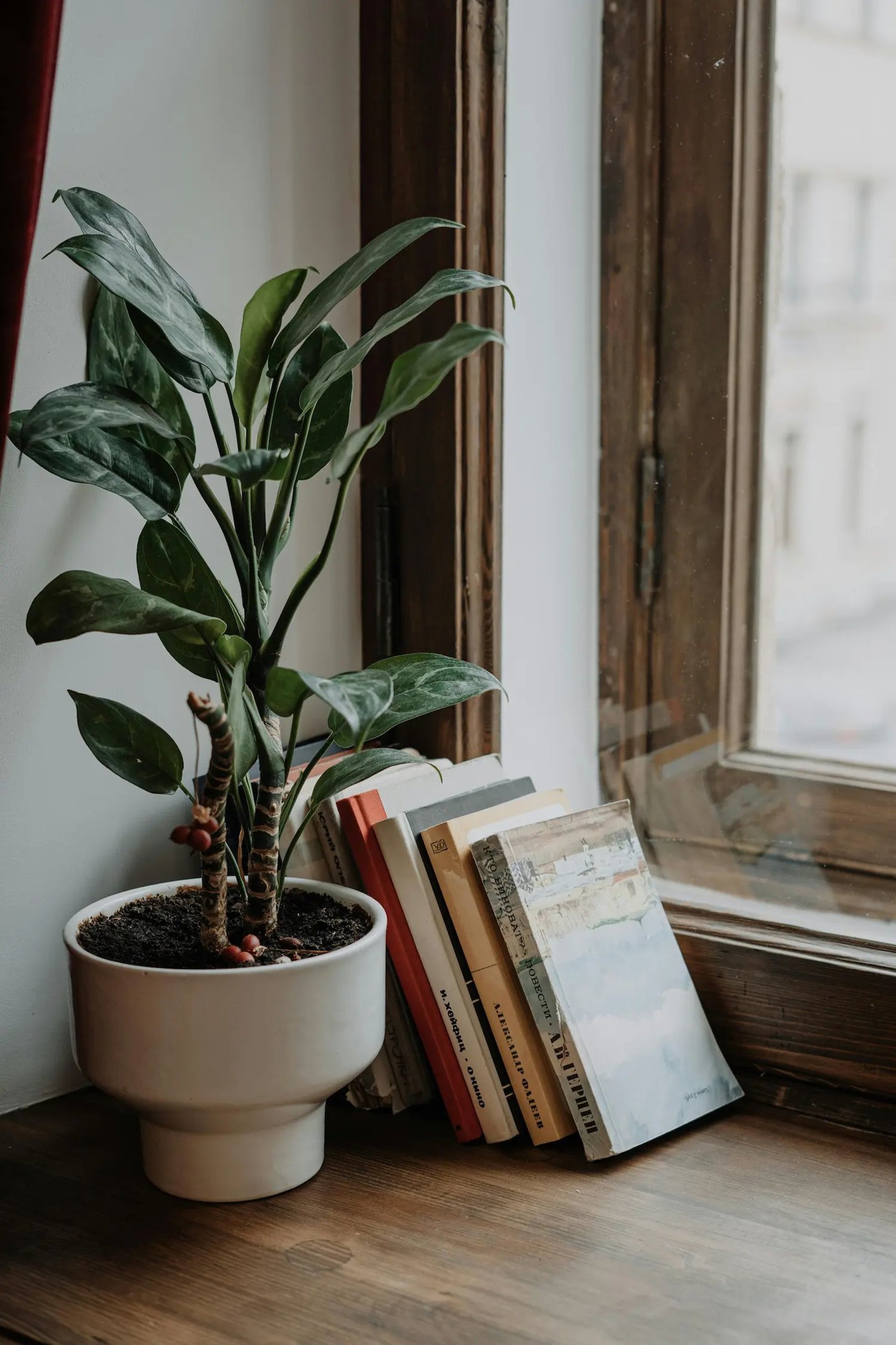 libros de articulos para mi blog de psicoterapia online