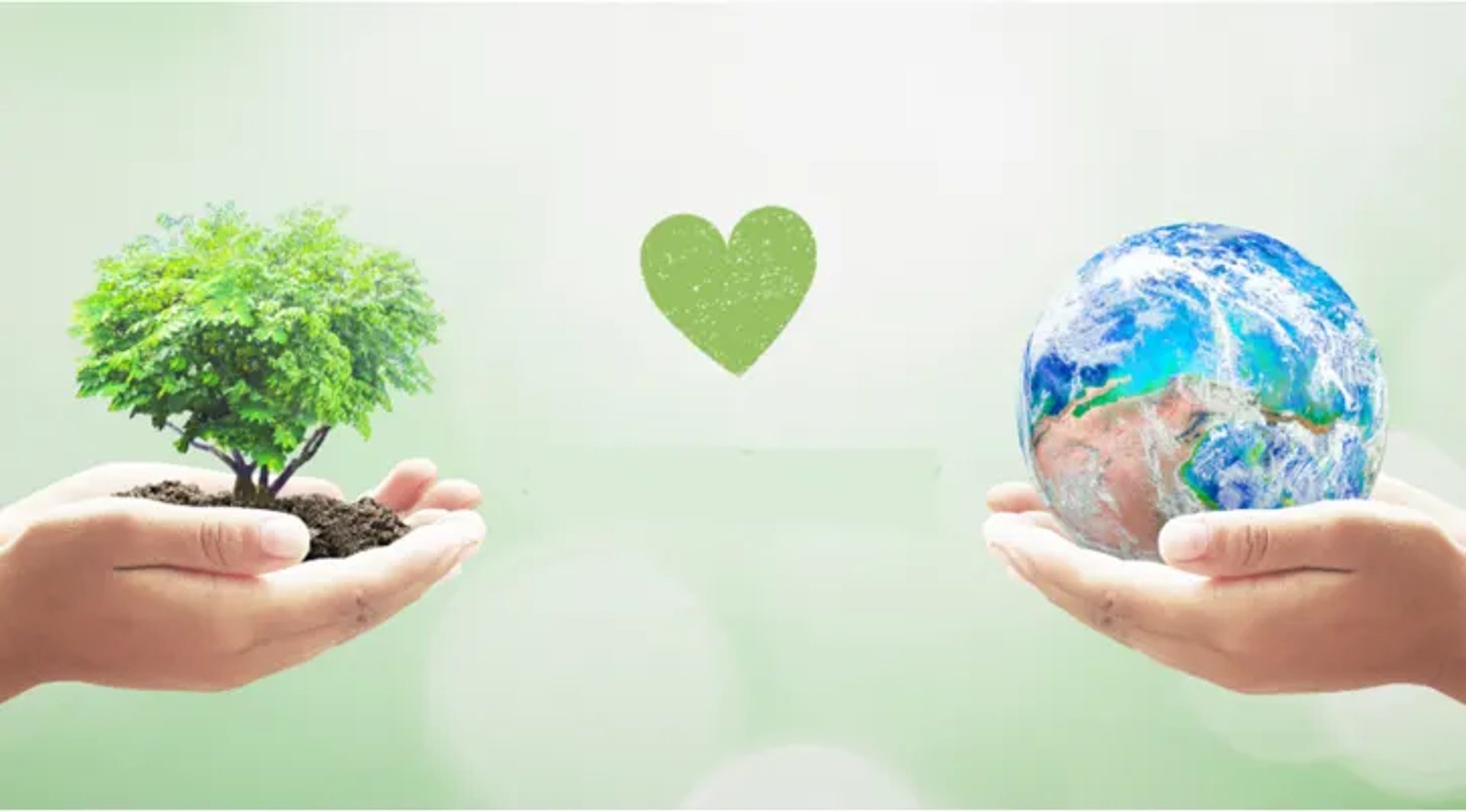 TreeAndHumanKnot - Reinventing Sustainability