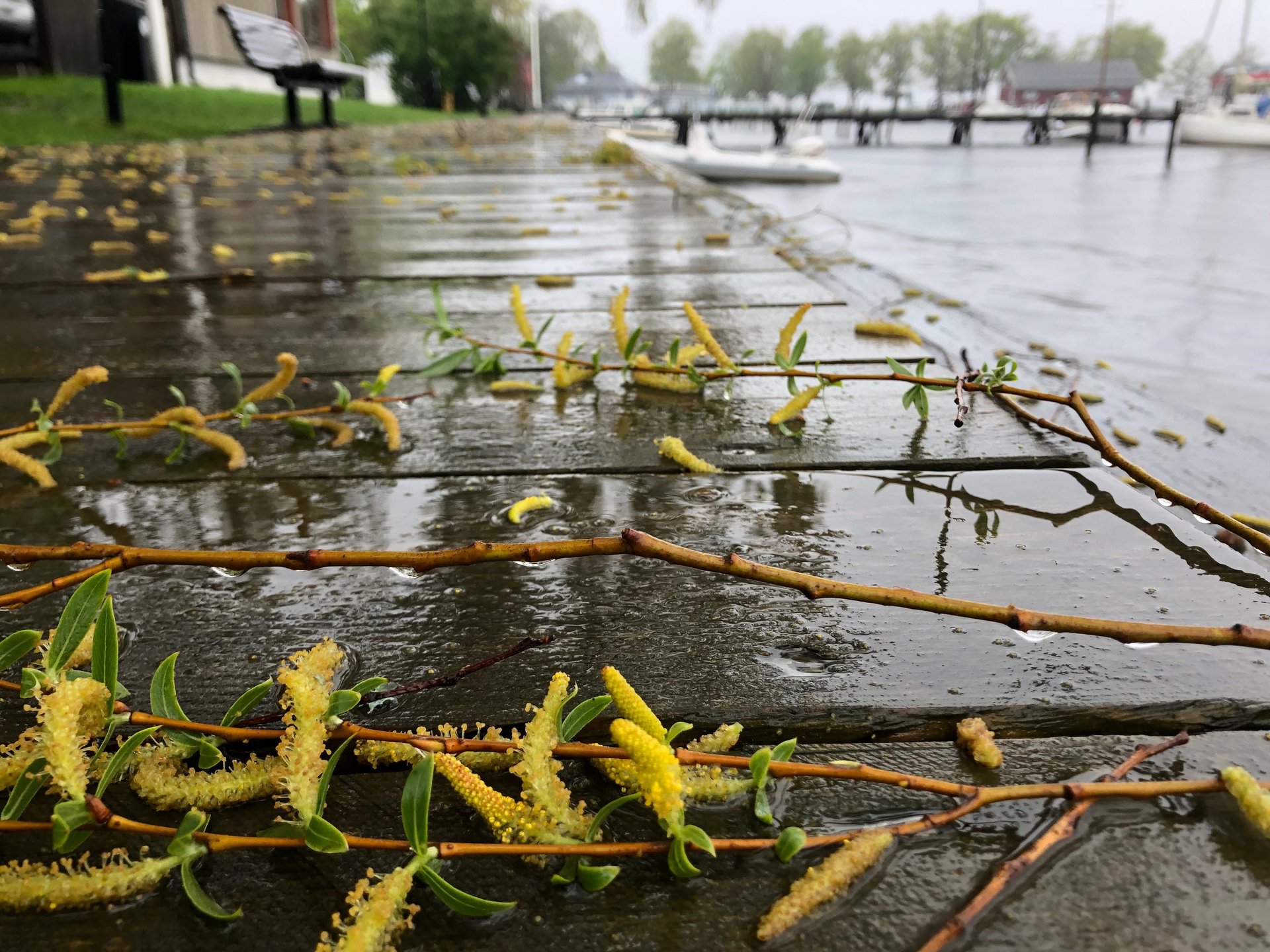 an abstract photo of a curved building with a blue sky in the background