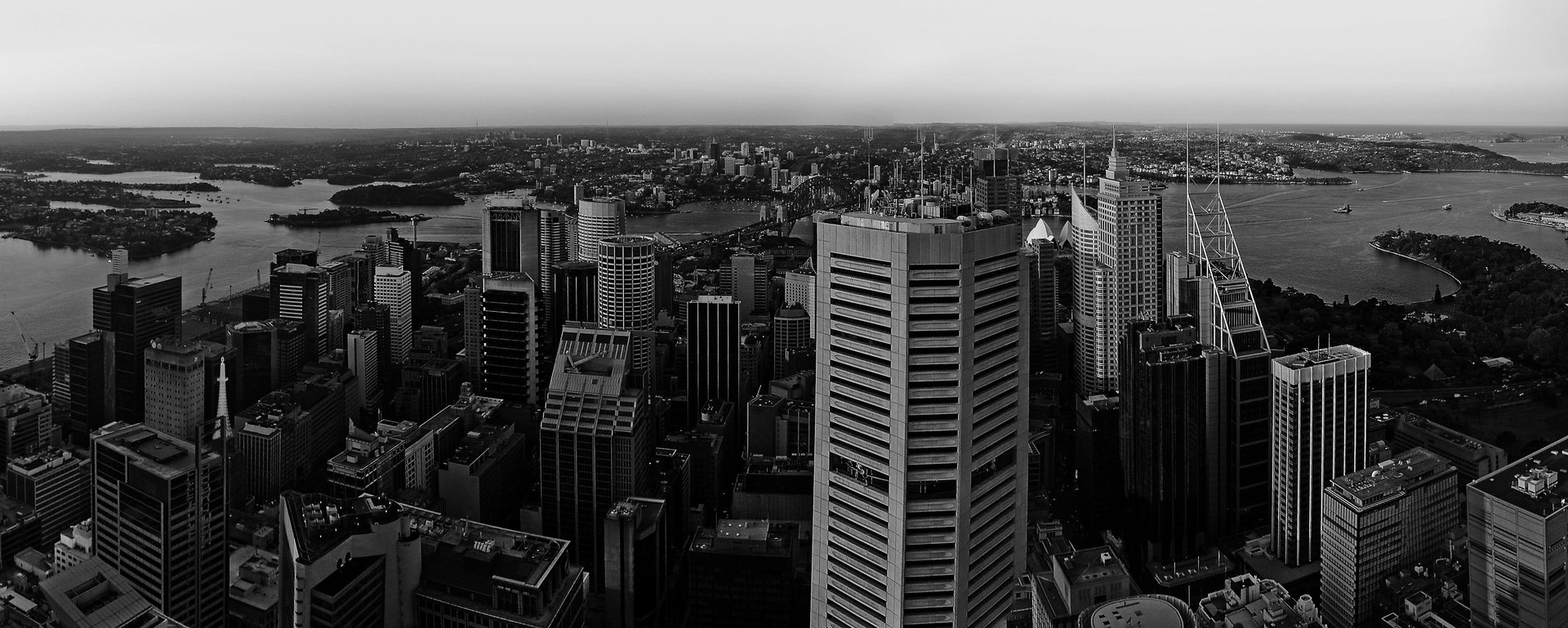 aerial grayscale photography of buildings