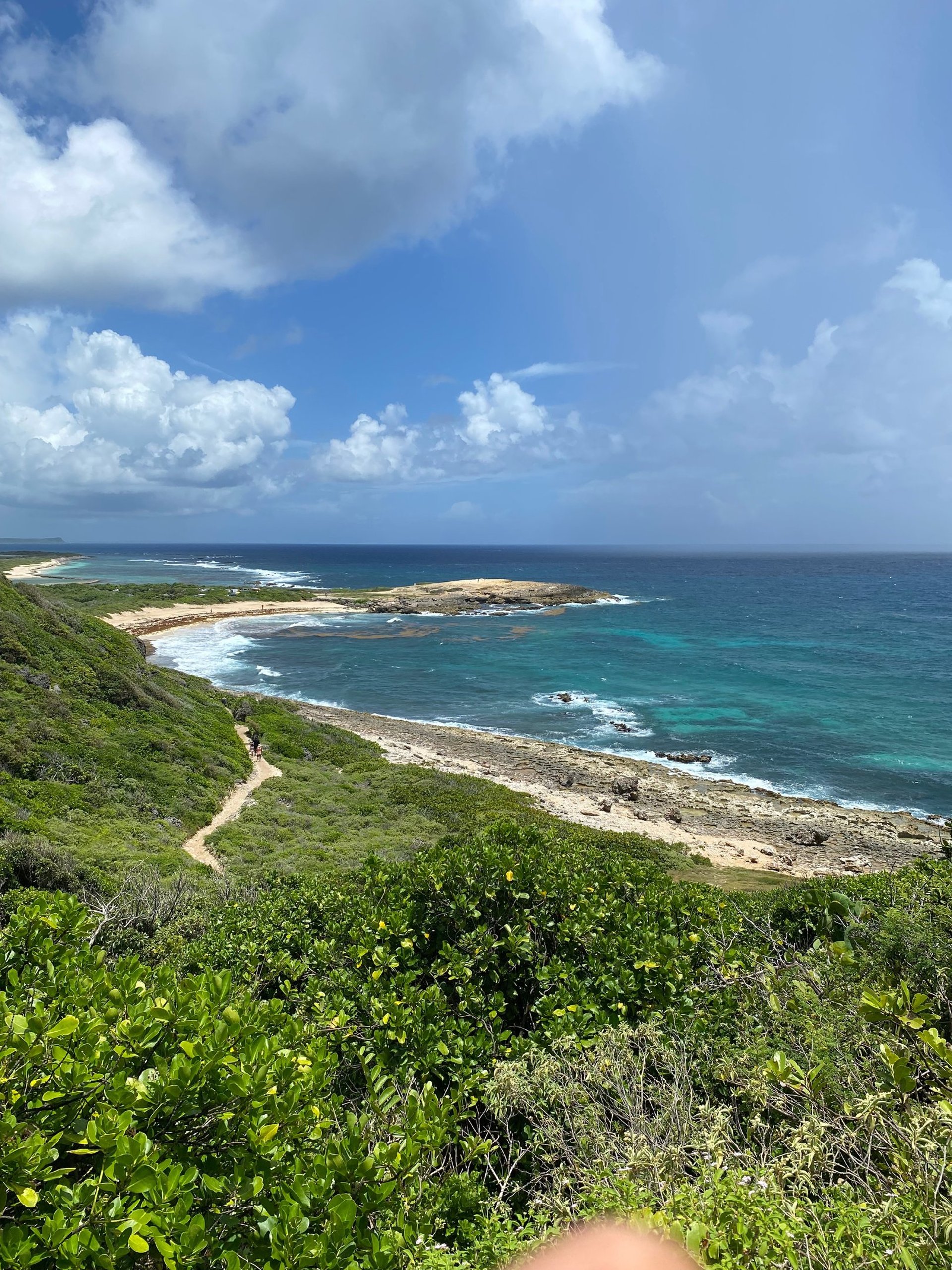 Vue aérienne de la plage des Salines à Saint-François, Guadeloupe – symbole de nature, de beauté et d’hospitalité inspirée