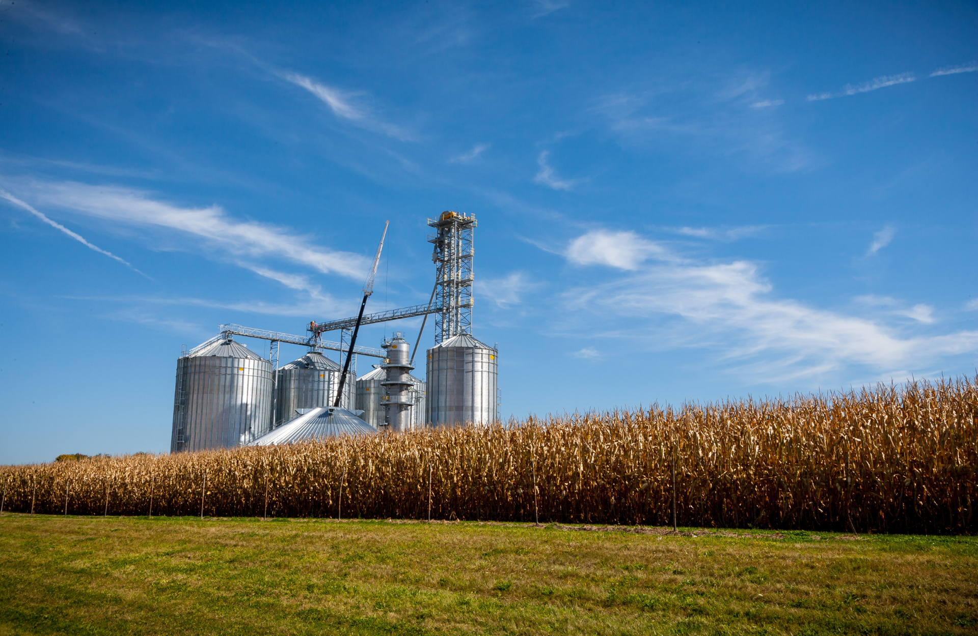 black and brown leather padded tub sofa
