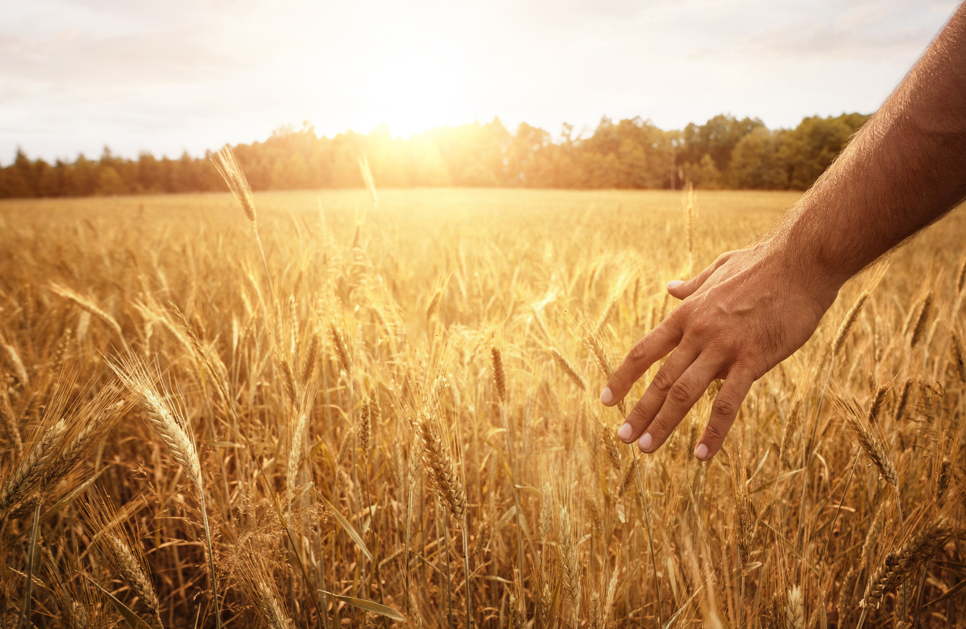 black and brown leather padded tub sofa