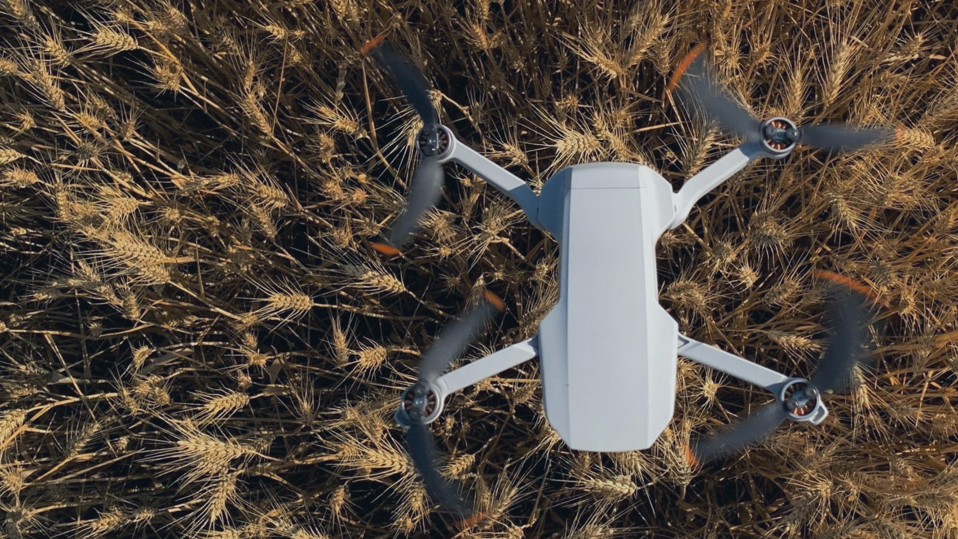 black and brown leather padded tub sofa