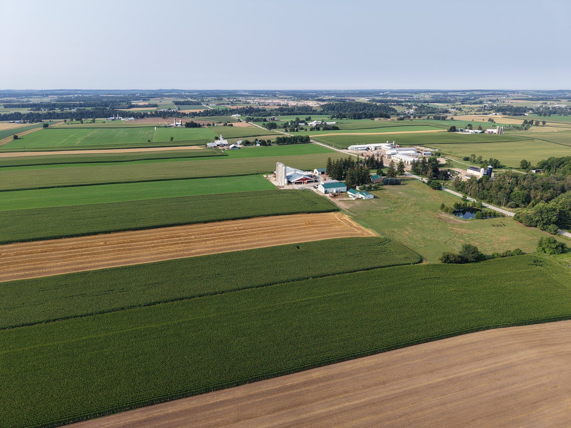 black and brown leather padded tub sofa