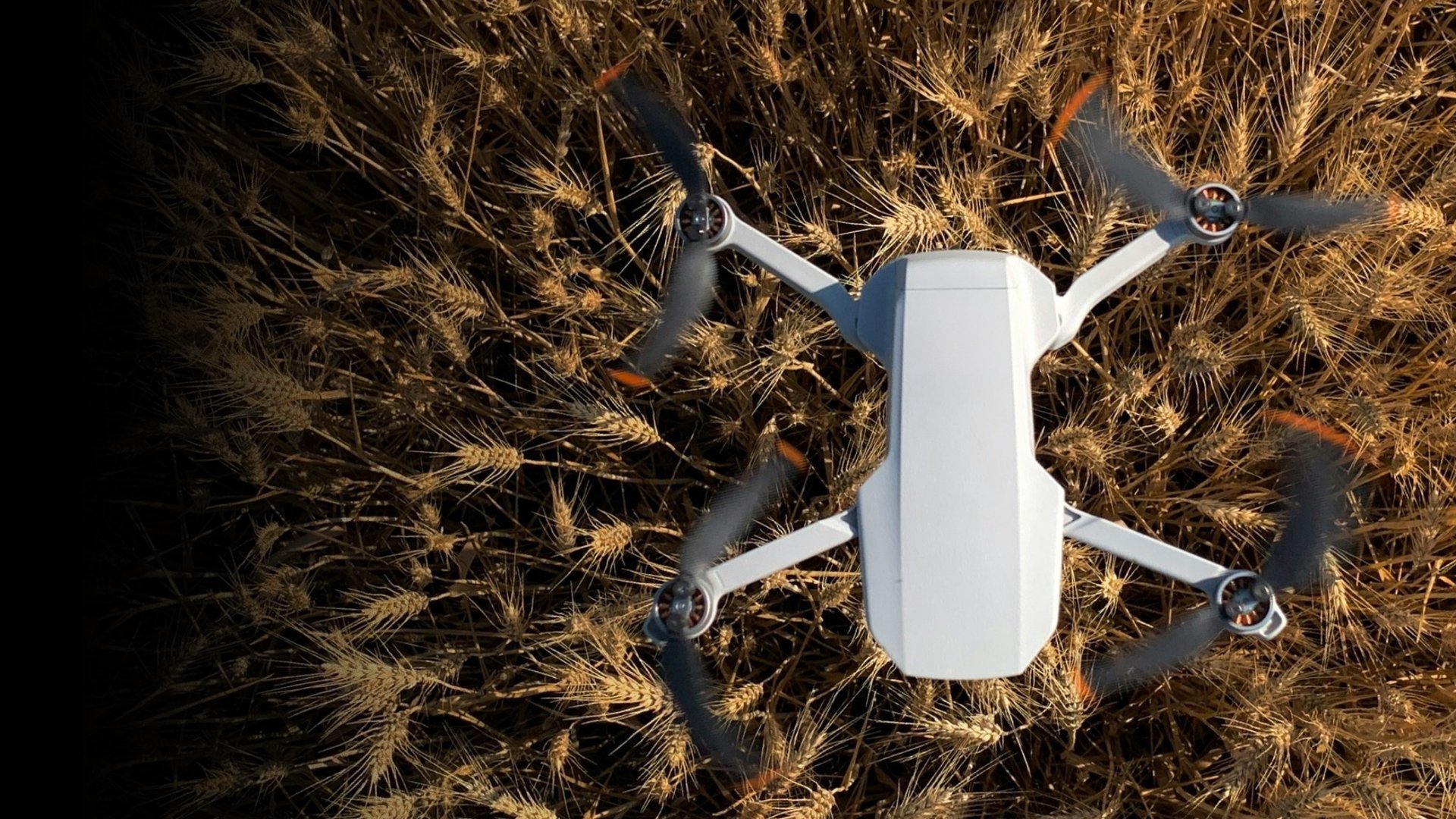 black and brown leather padded tub sofa