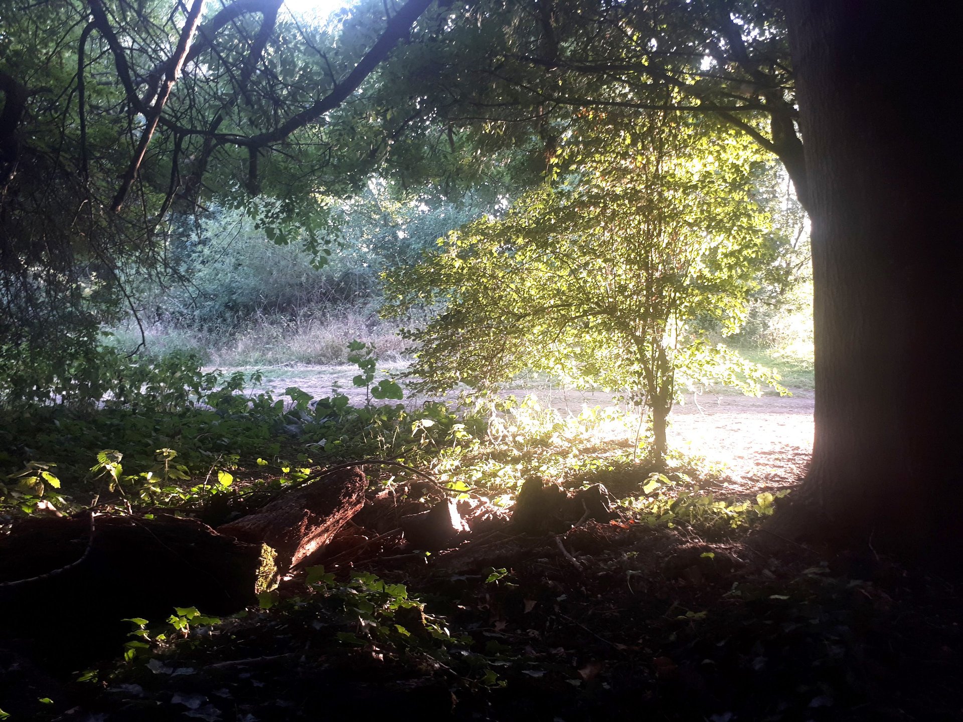 black blue and yellow textile