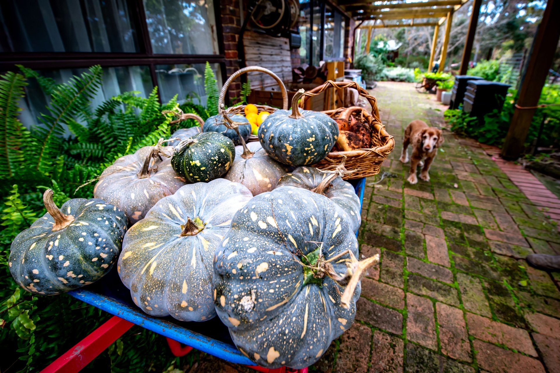 gray computer monitor
