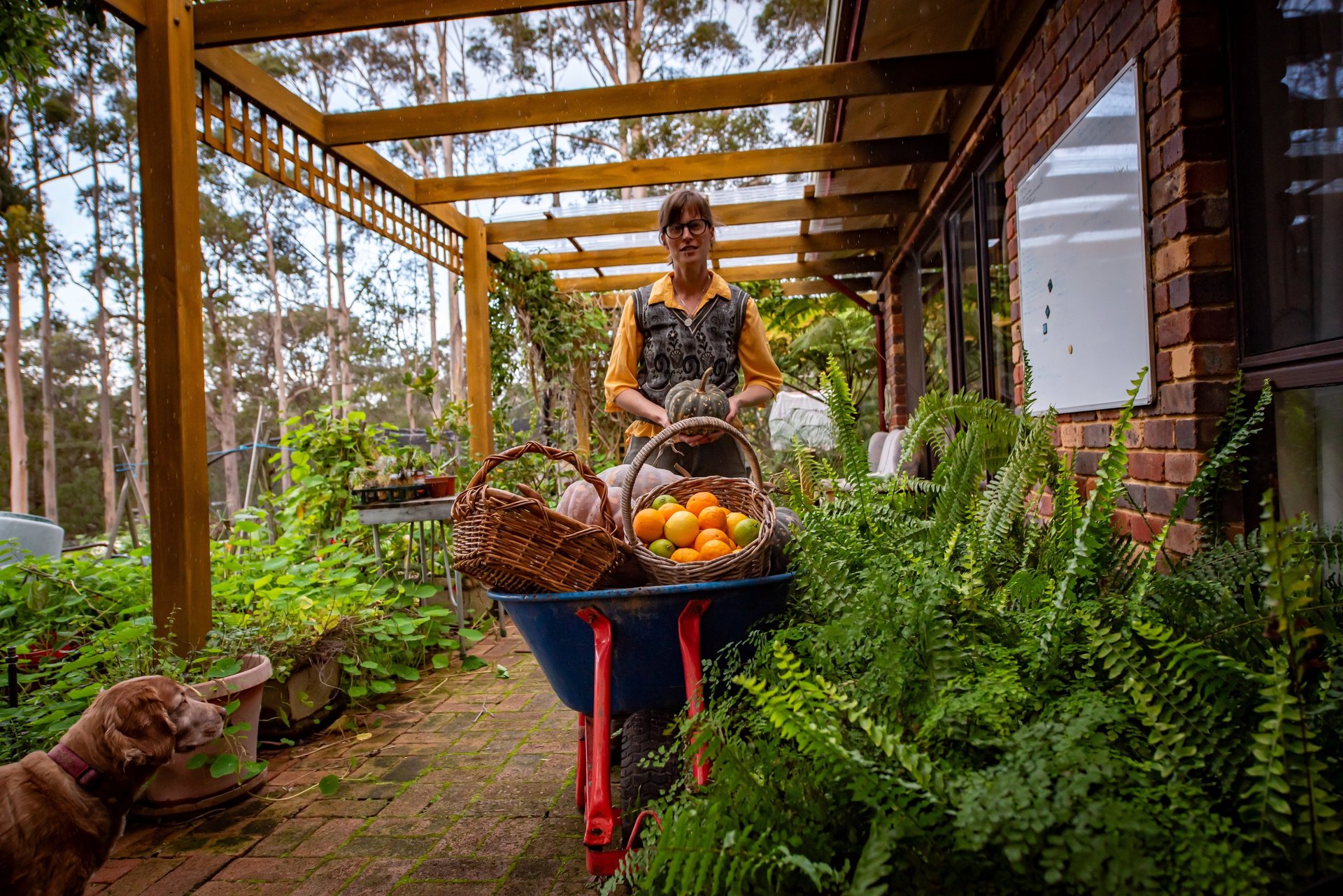 woman wearing yellow long-sleeved dress under white clouds and blue sky during daytime