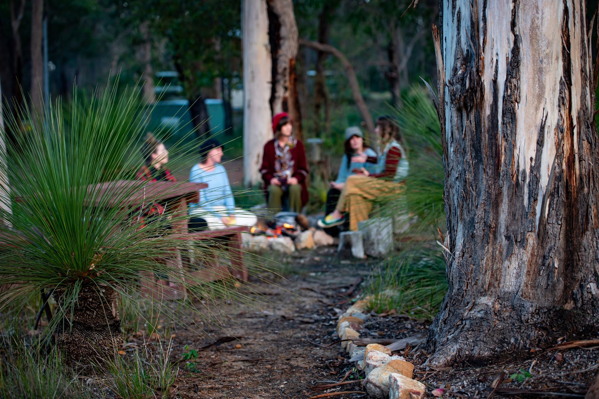 black and brown leather padded tub sofa